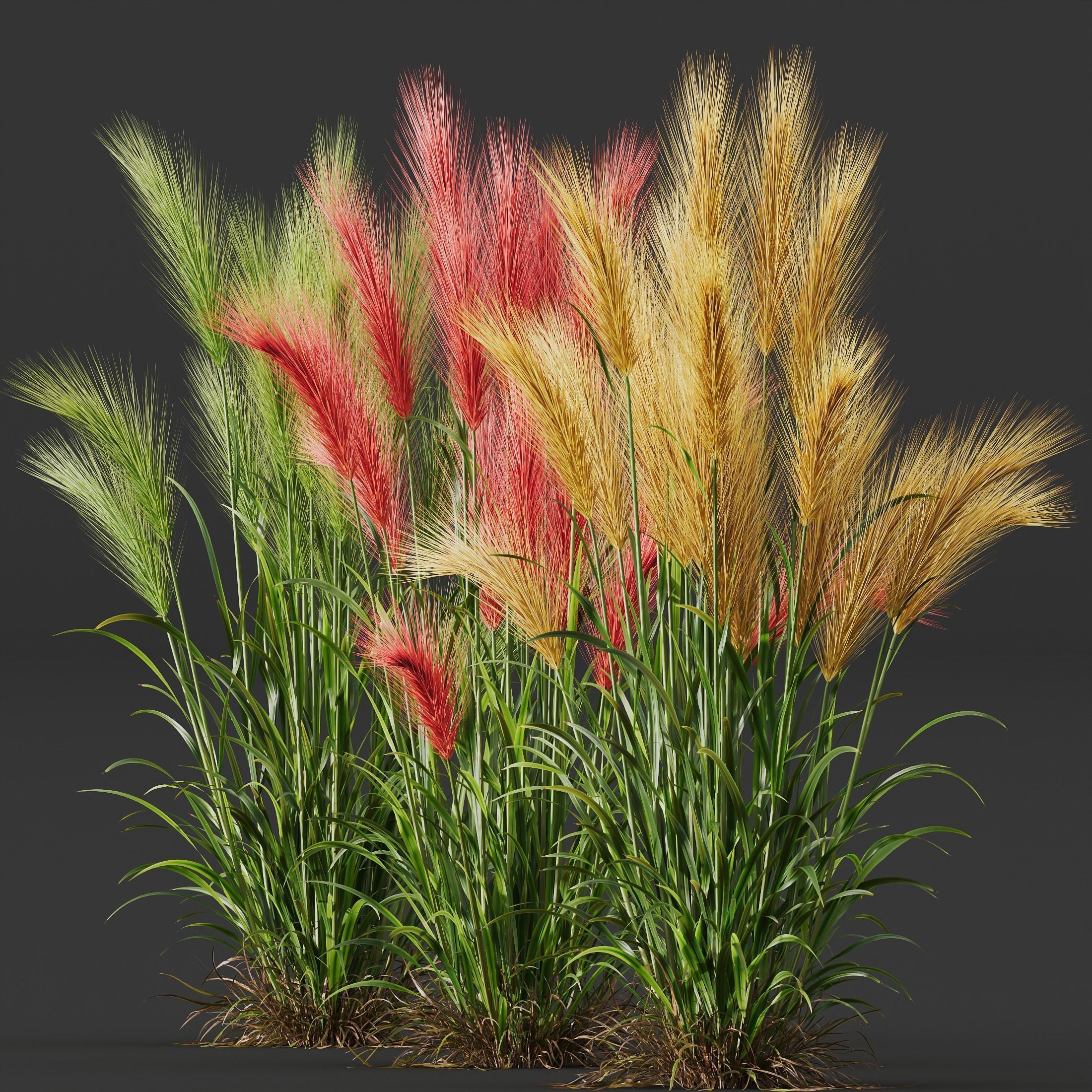 80 Different SETS Of Grass and Bush SET VOL08 3D Model Collection_249