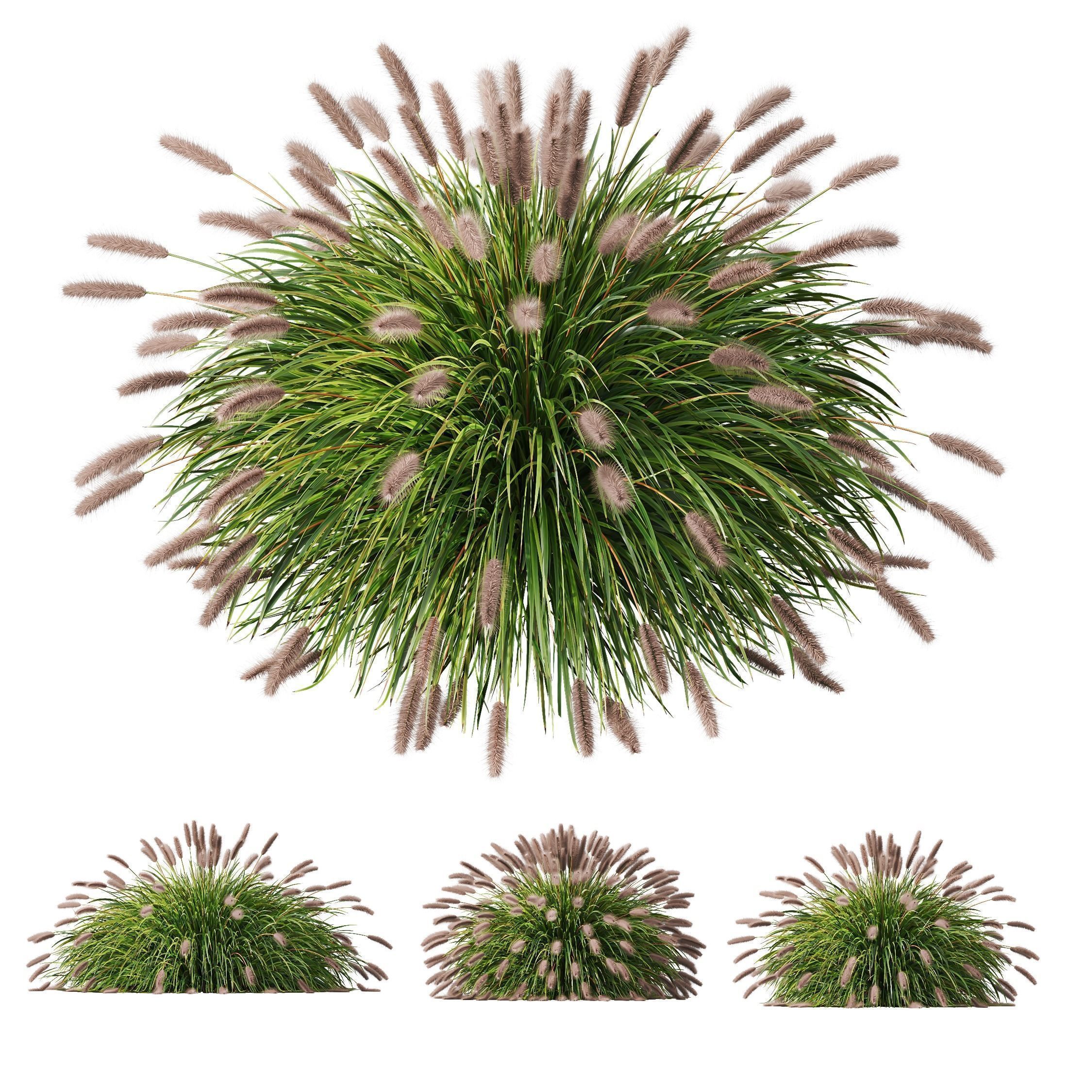 80 Different SETS Of Grass and Bush SET VOL08 3D Model Collection_39