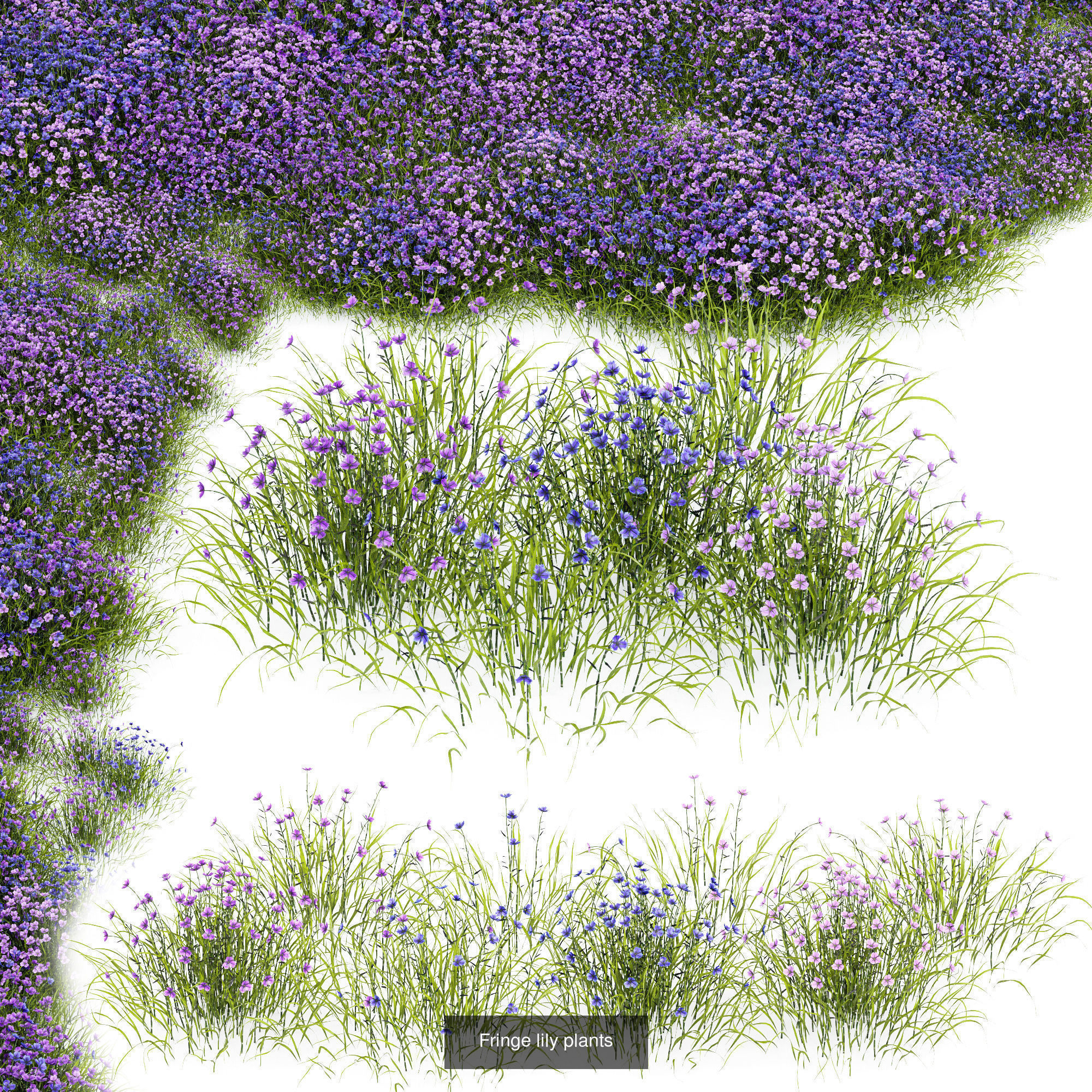 80 Different SETS Of Grass and Bush SET VOL08 3D Model Collection_18