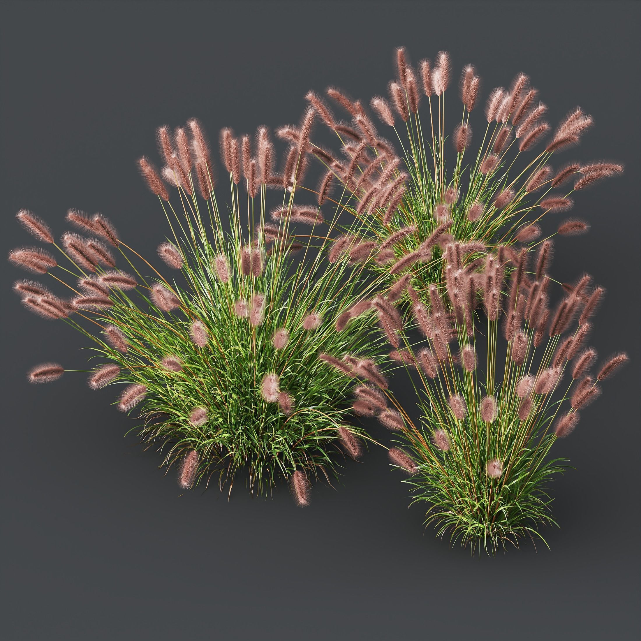 80 Different SETS Of Grass and Bush SET VOL08 3D Model Collection_180