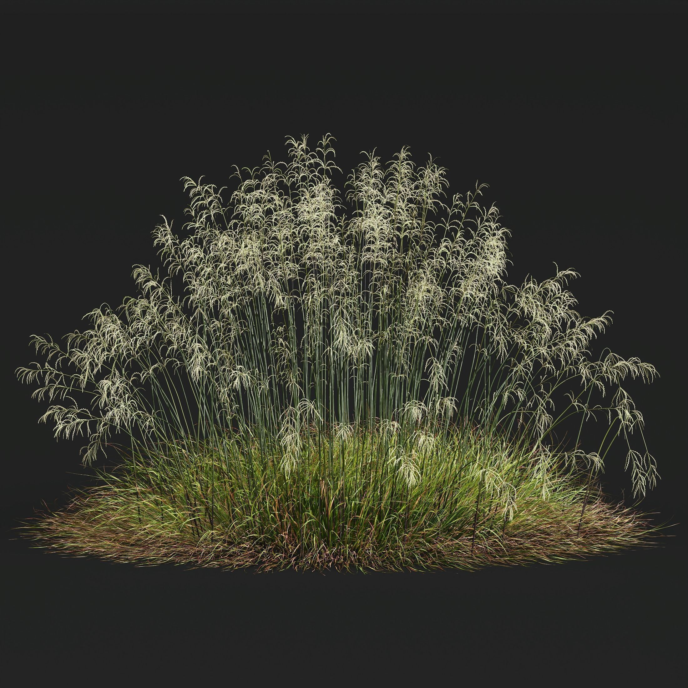 80 Different SETS Of Grass and Bush SET VOL08 3D Model Collection_195