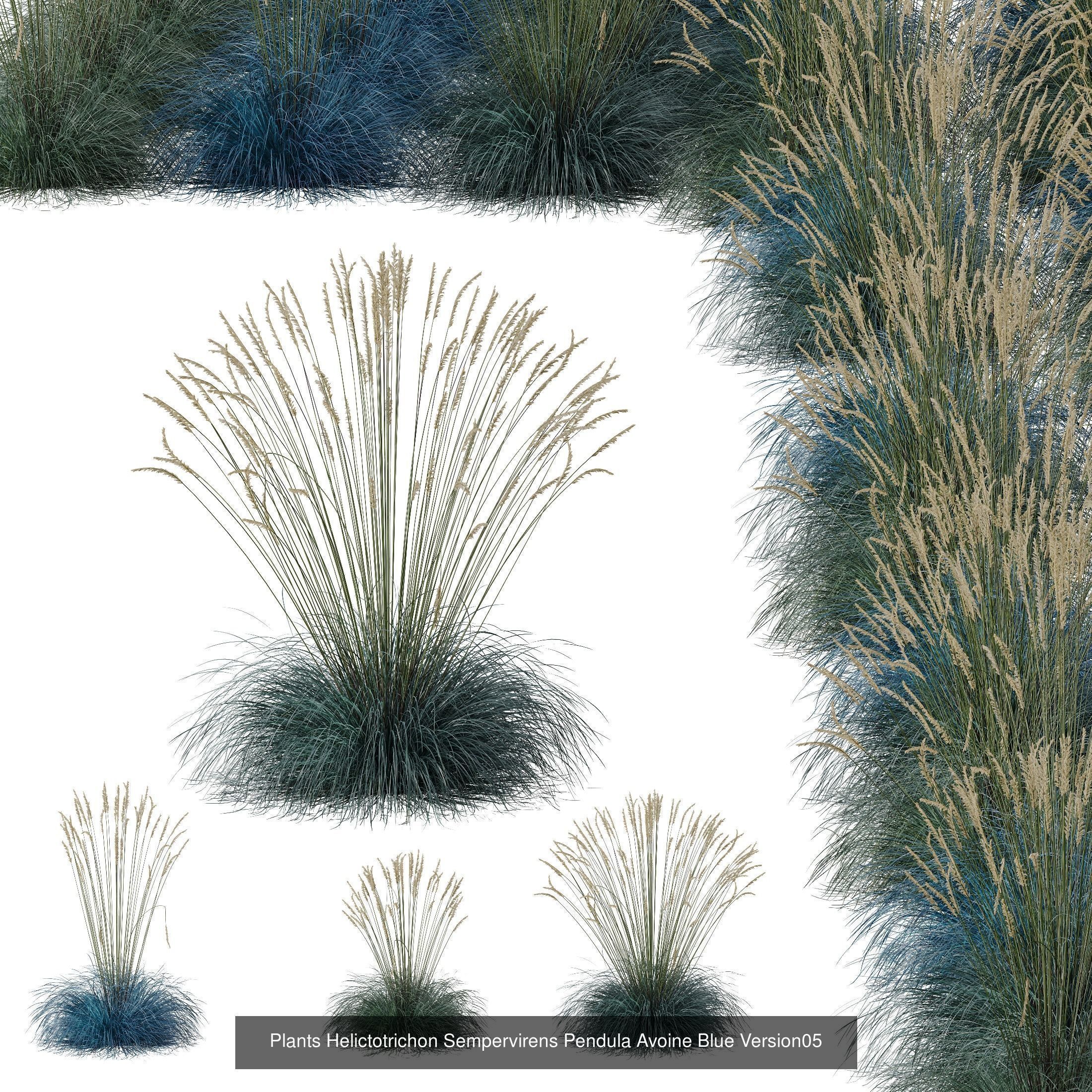 80 Different SETS Of Grass and Bush SET VOL08 3D Model Collection_82
