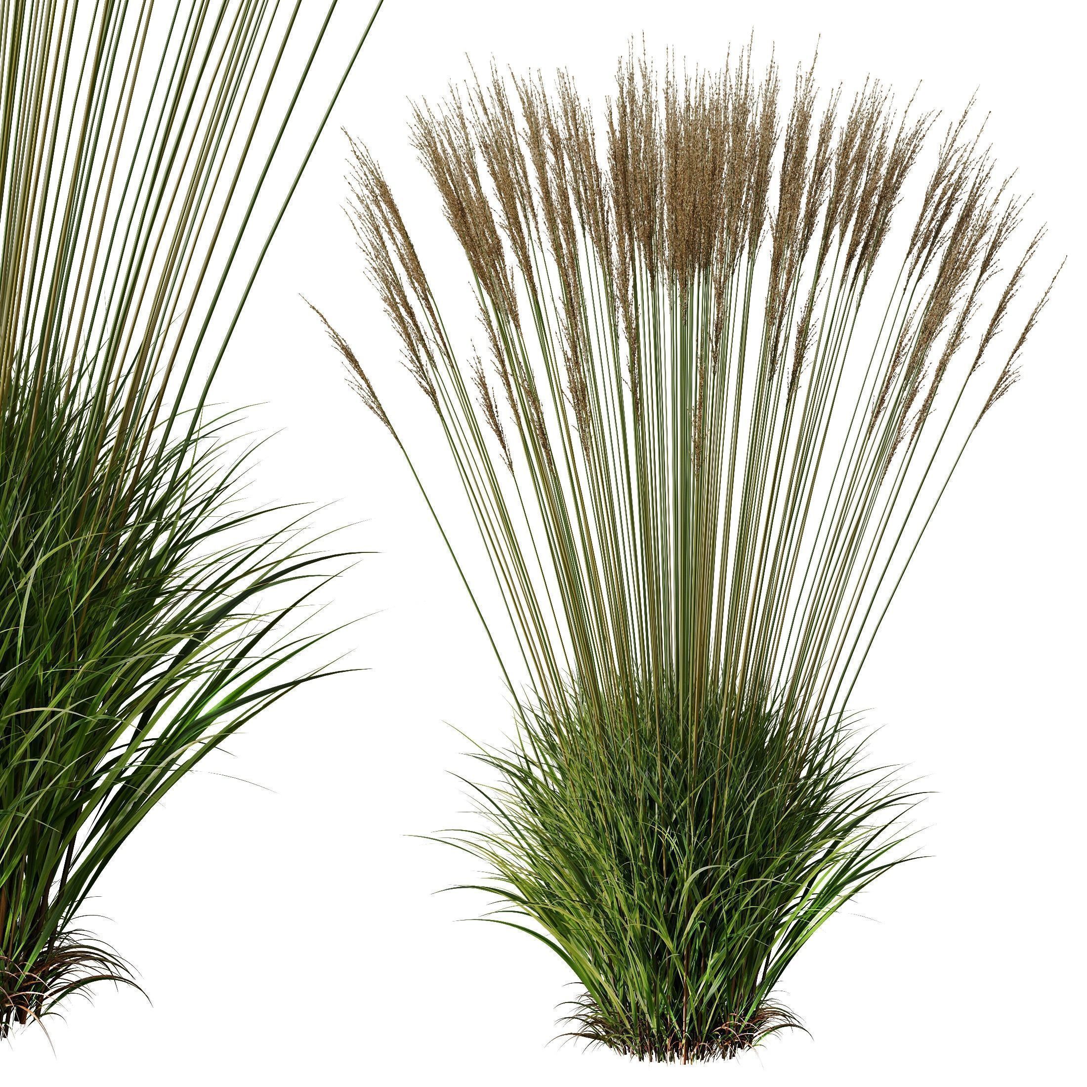 80 Different SETS Of Grass and Bush SET VOL08 3D Model Collection_254