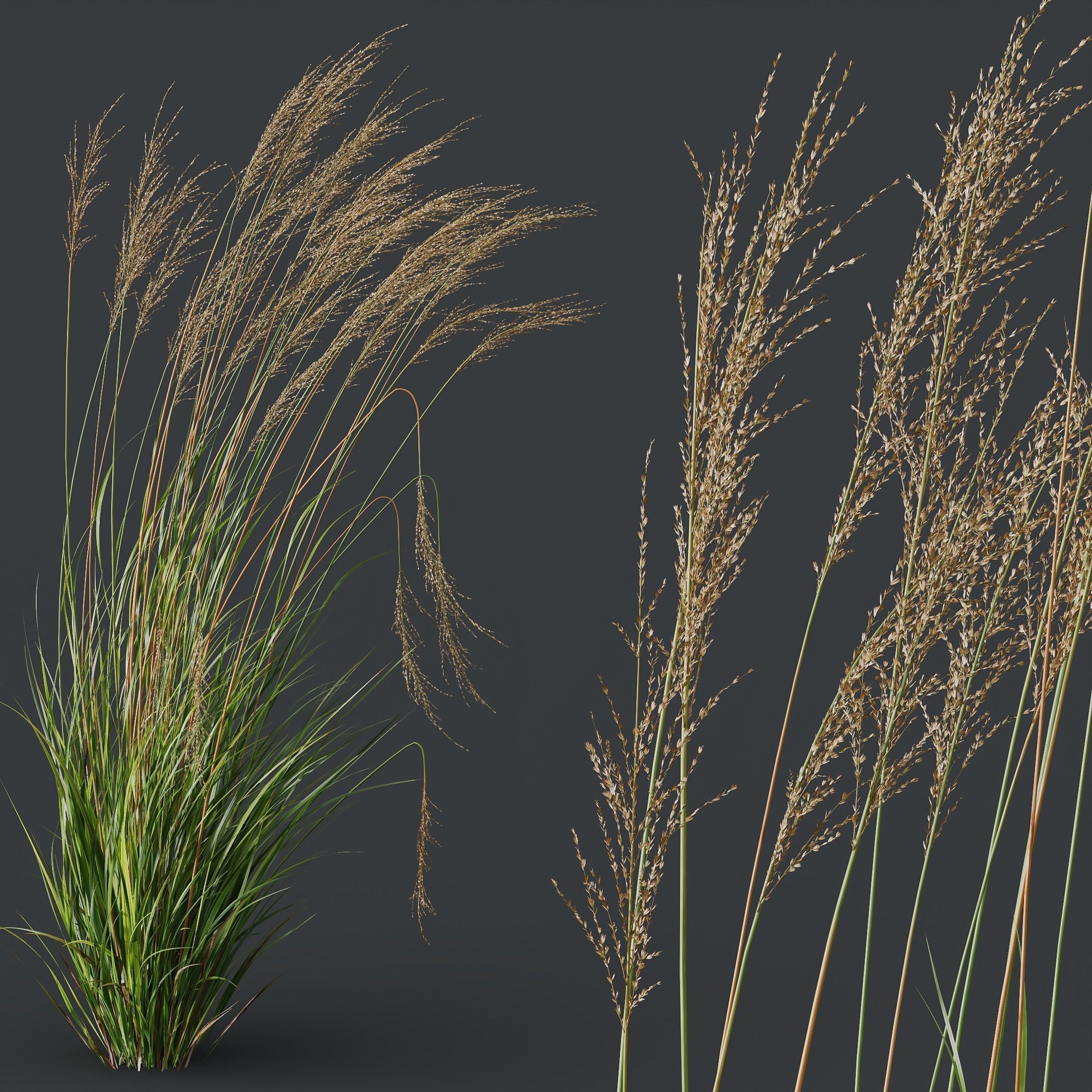 80 Different SETS Of Grass and Bush SET VOL08 3D Model Collection_182