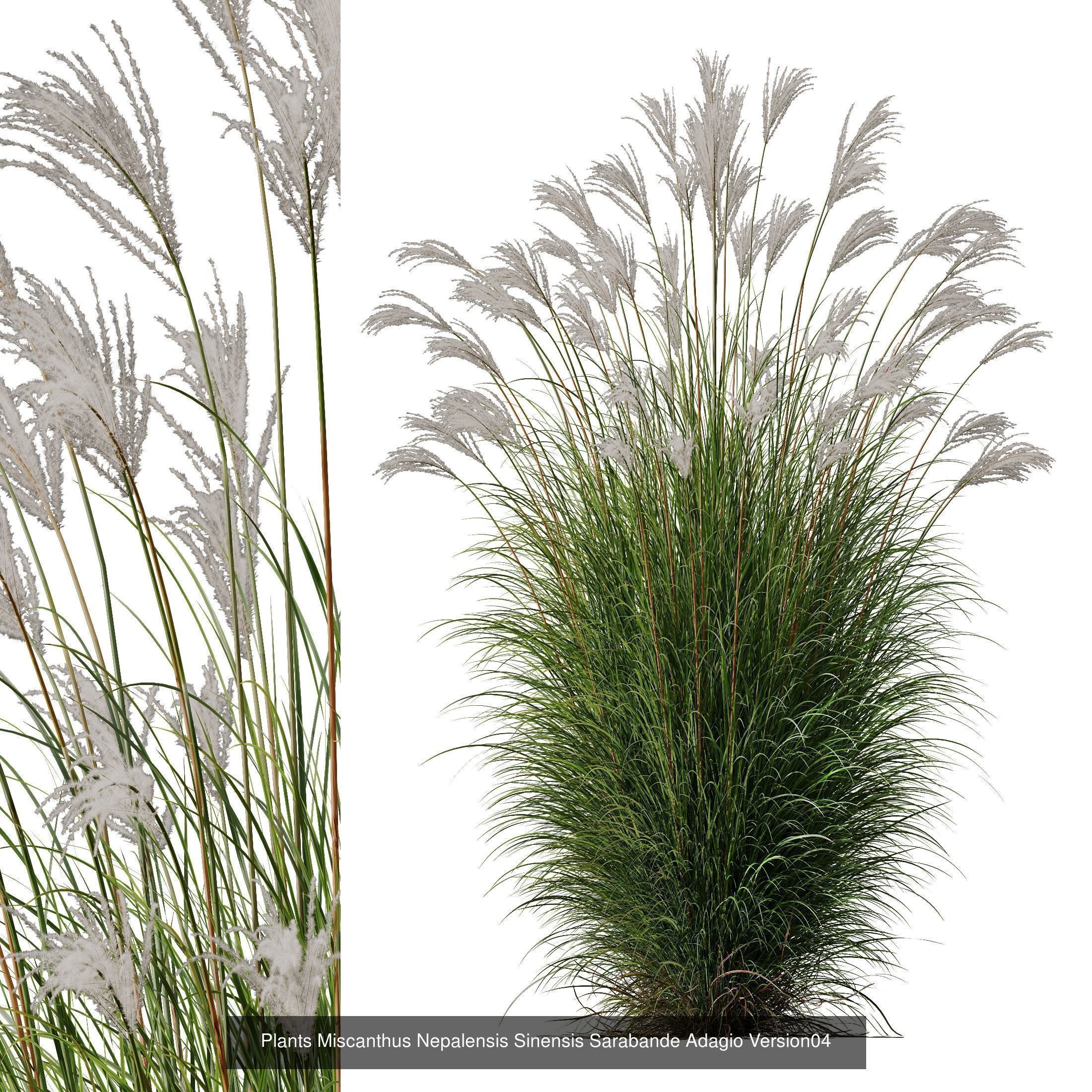 80 Different SETS Of Grass and Bush SET VOL08 3D Model Collection_108