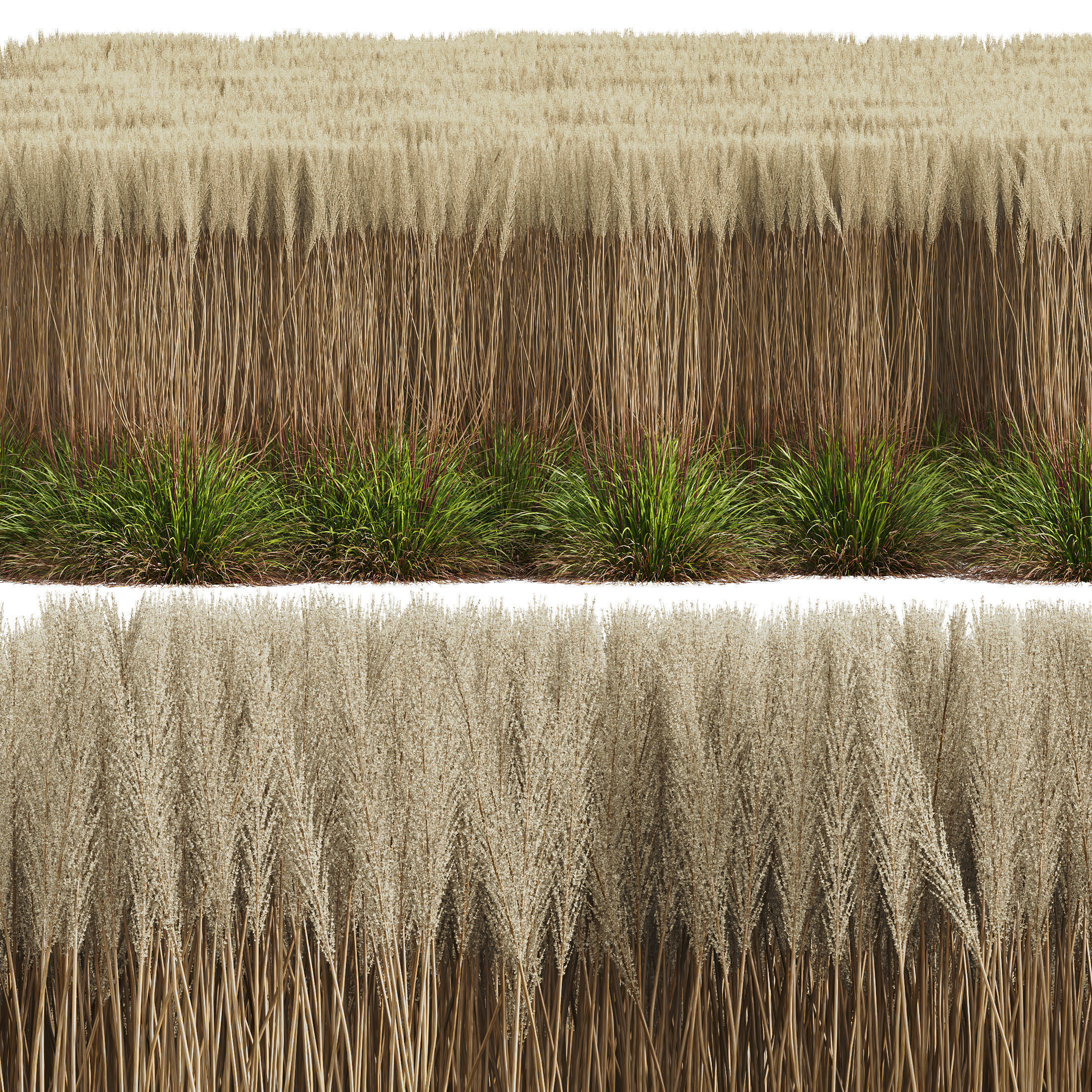 80 Different SETS Of Grass and Bush SET VOL08 3D Model Collection_218