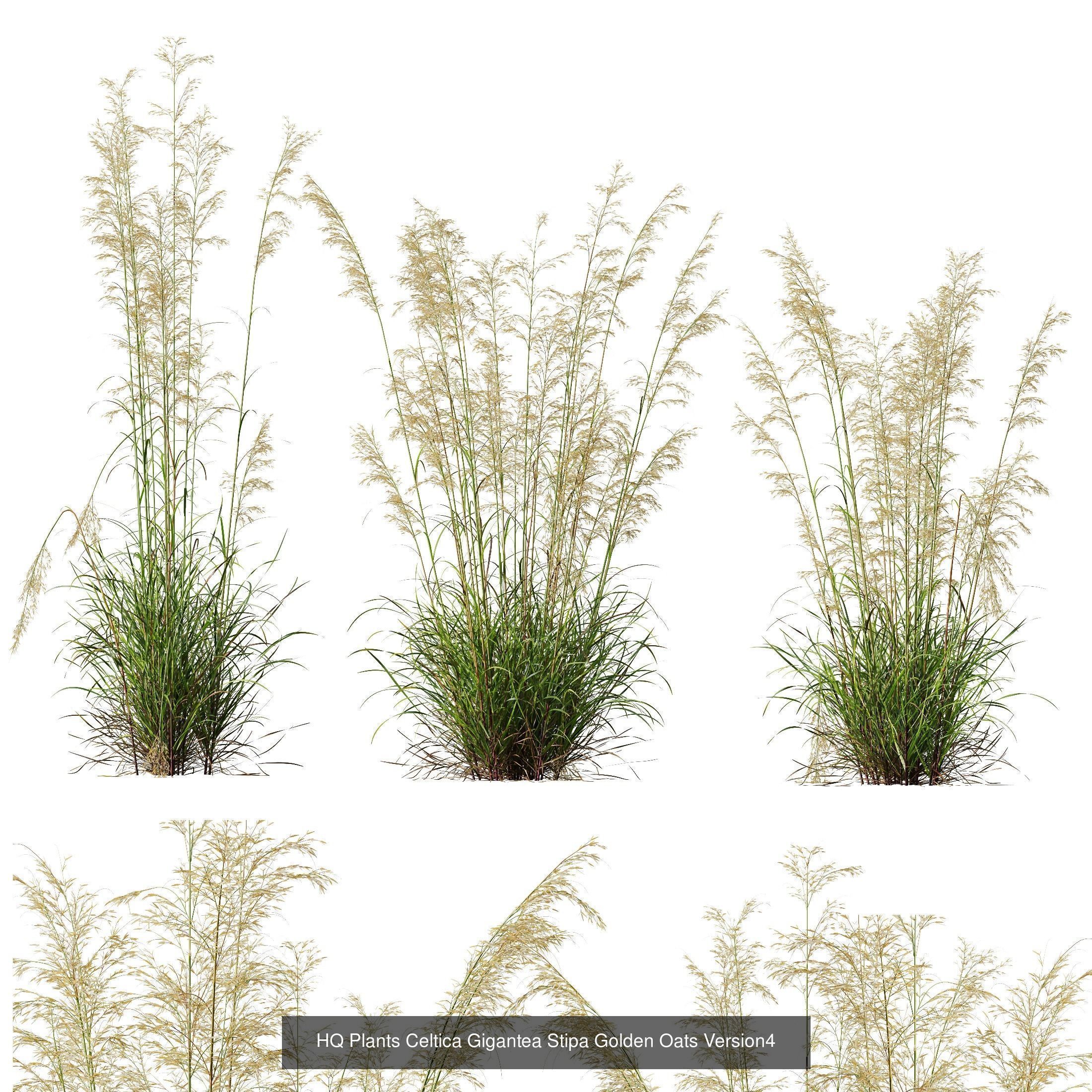 80 Different SETS Of Grass and Bush SET VOL08 3D Model Collection_78