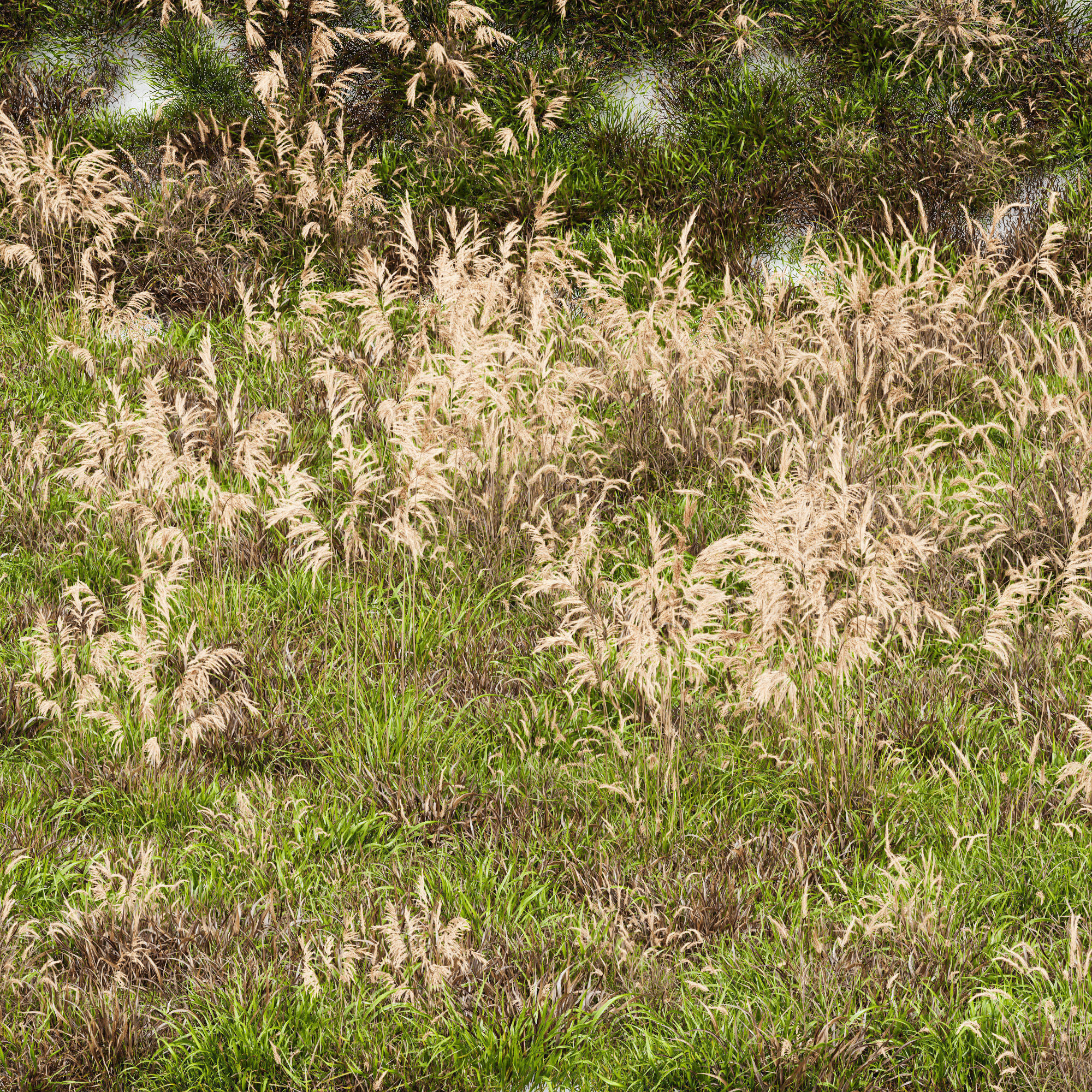 80 Different SETS Of Grass and Bush SET VOL08 3D Model Collection_223