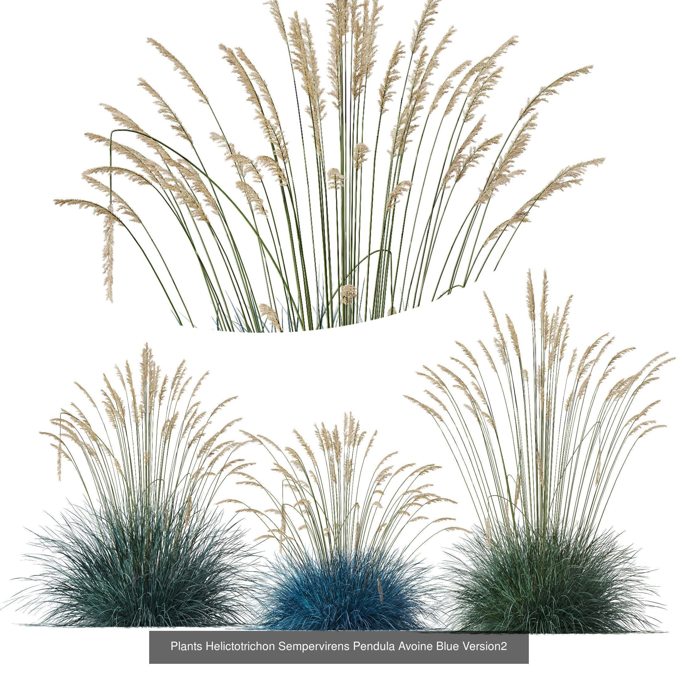80 Different SETS Of Grass and Bush SET VOL08 3D Model Collection_72