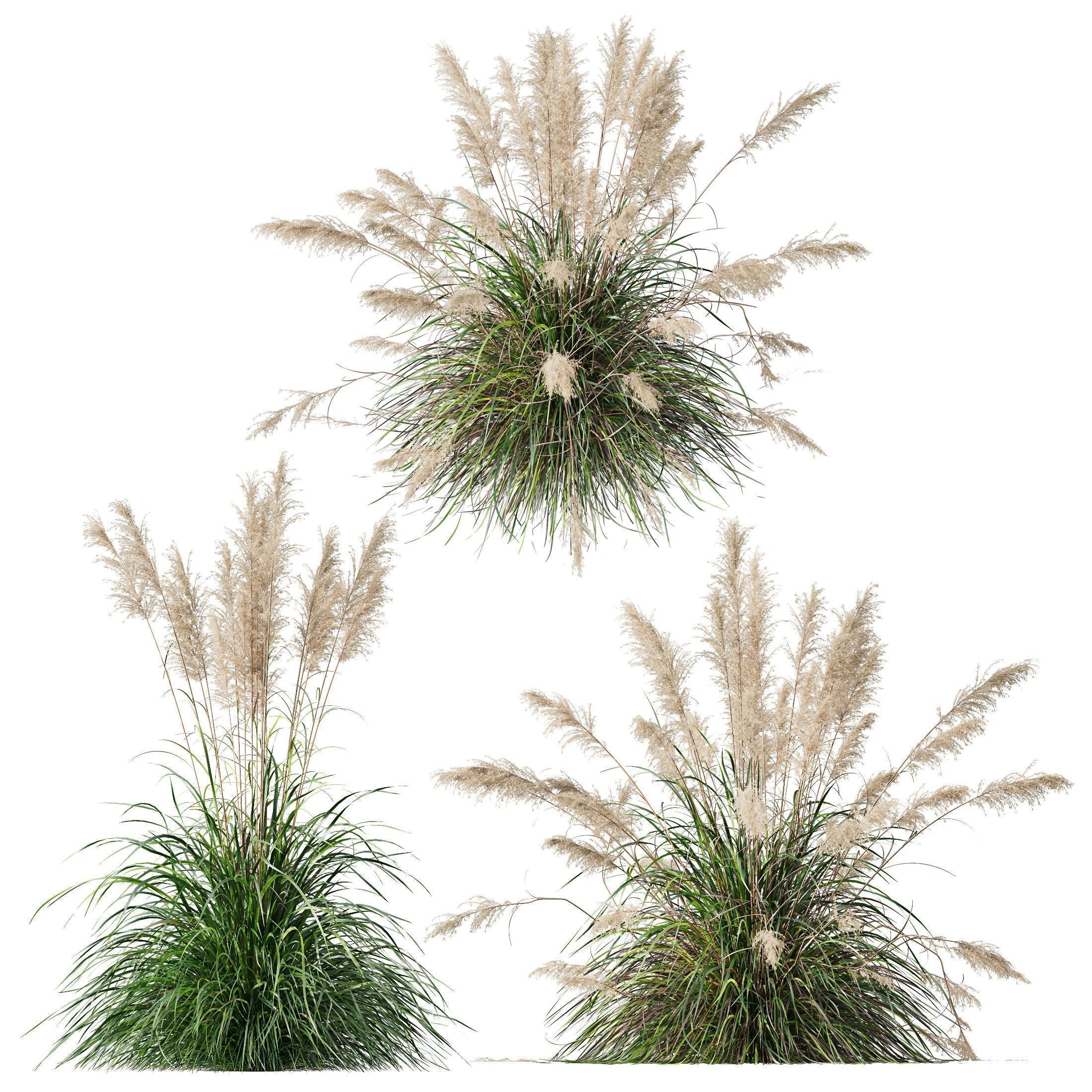 80 Different SETS Of Grass and Bush SET VOL08 3D Model Collection_37