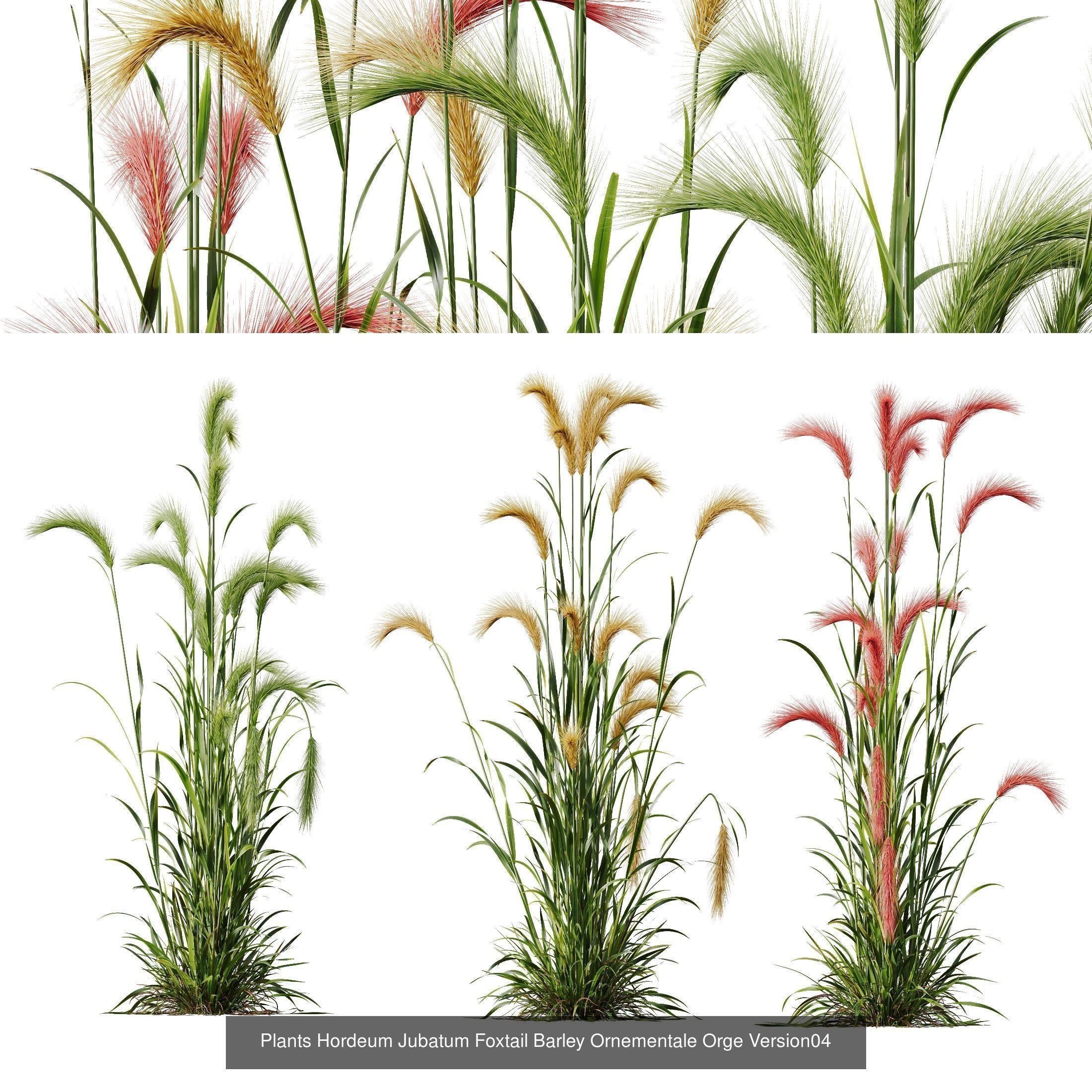 80 Different SETS Of Grass and Bush SET VOL08 3D Model Collection_90