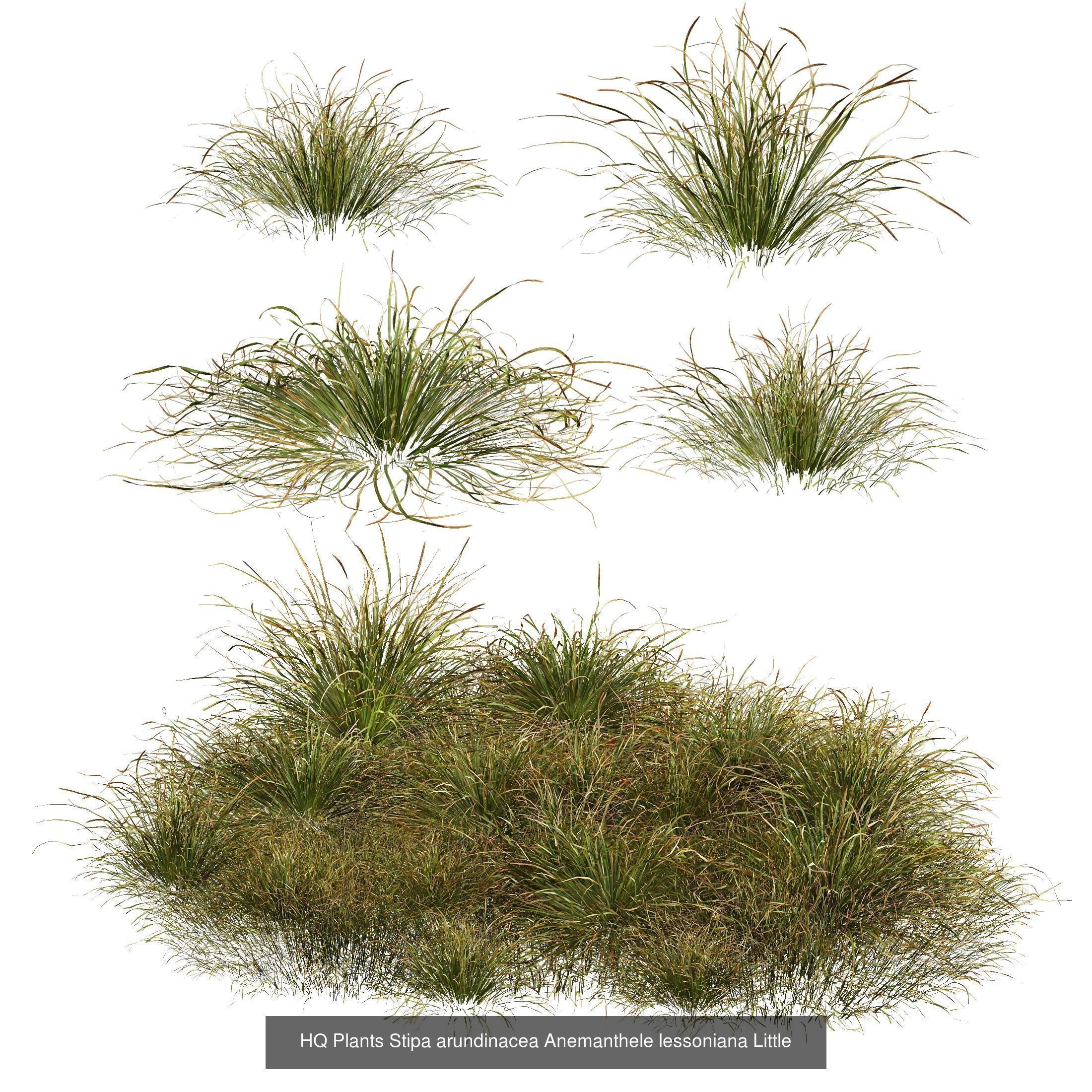 80 Different SETS Of Grass and Bush SET VOL08 3D Model Collection_30