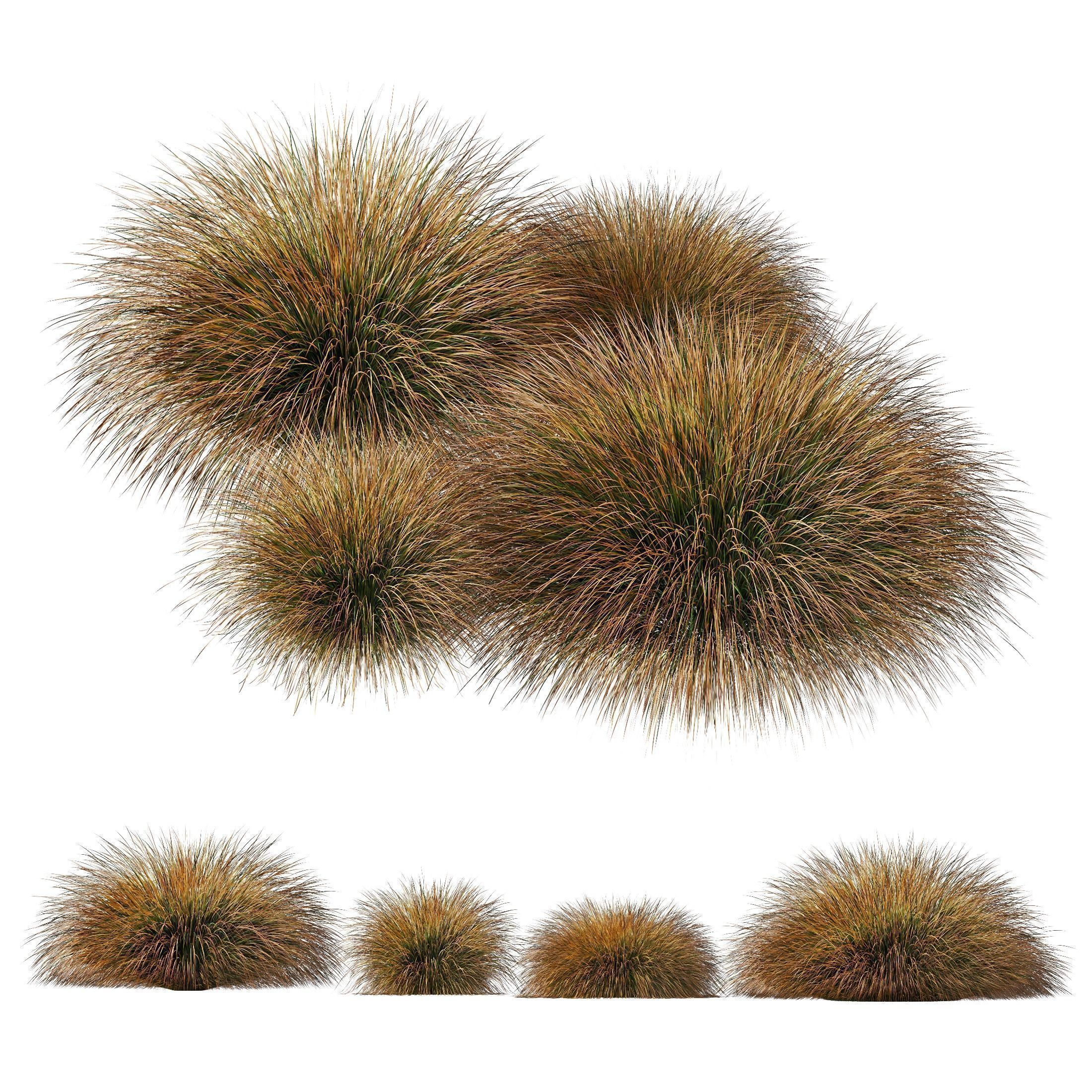 80 Different SETS Of Grass and Bush SET VOL08 3D Model Collection_81