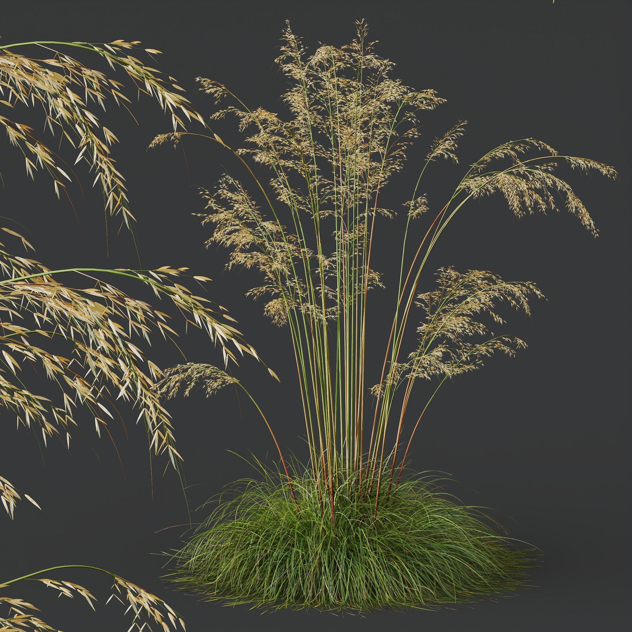 80 Different SETS Of Grass and Bush SET VOL08 3D Model Collection_238