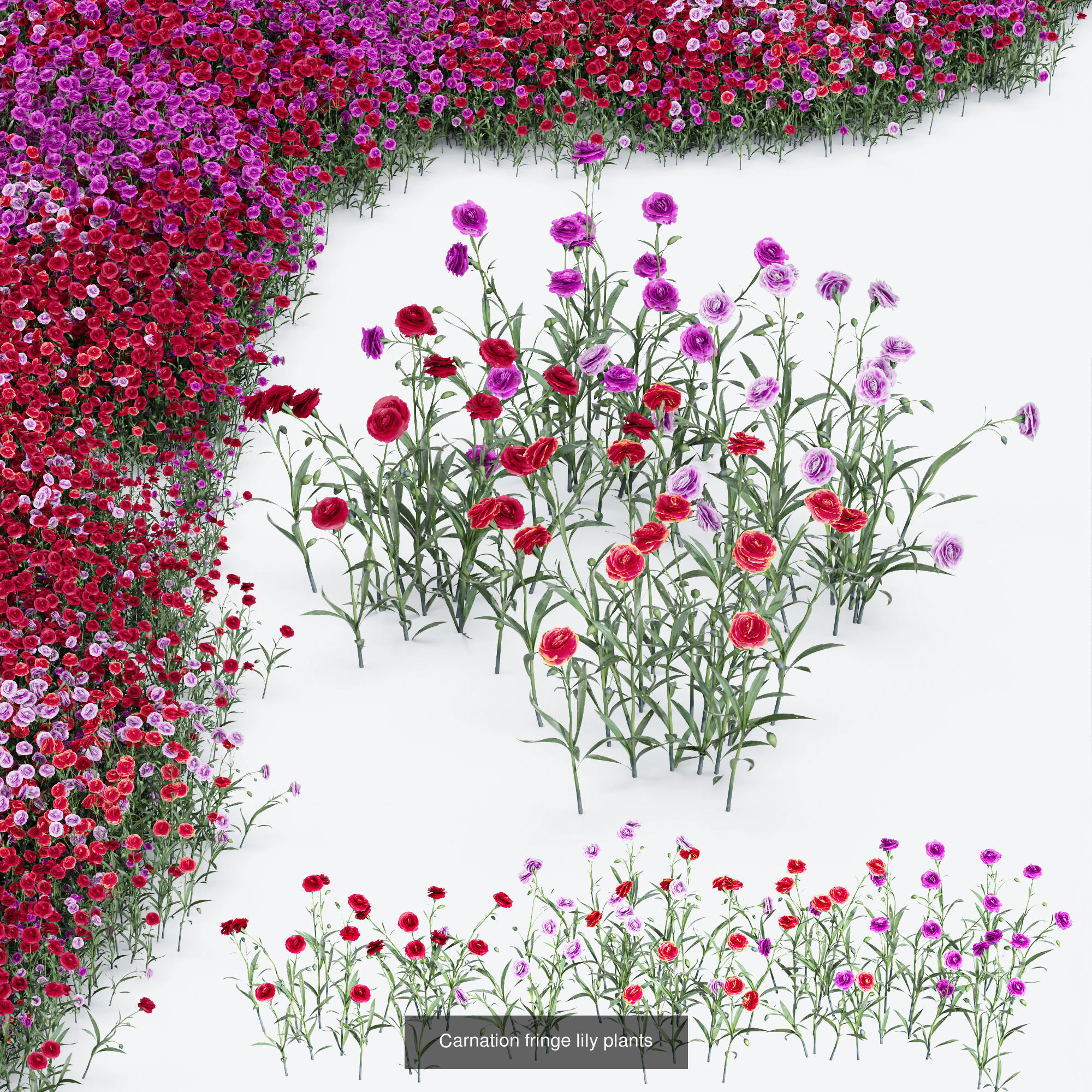 80 Different SETS Of Grass and Bush SET VOL08 3D Model Collection_16