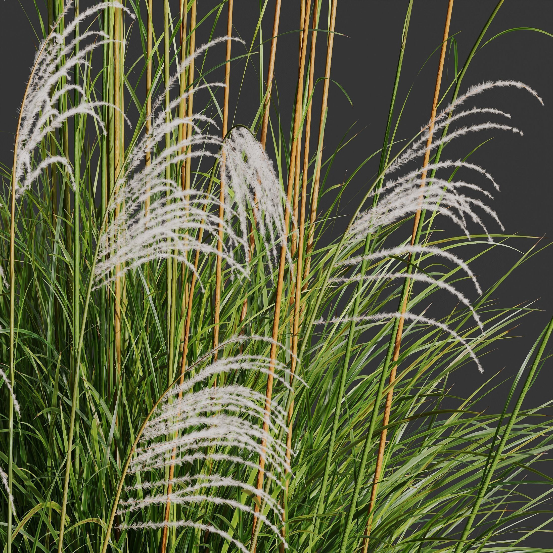 80 Different SETS Of Grass and Bush SET VOL08 3D Model Collection_252