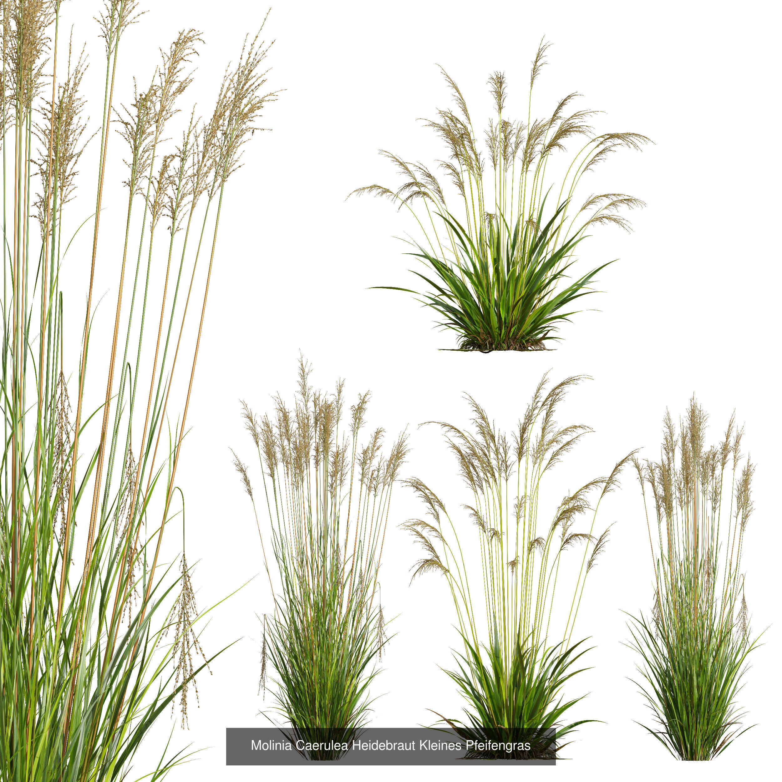 80 Different SETS Of Grass and Bush SET VOL08 3D Model Collection_160
