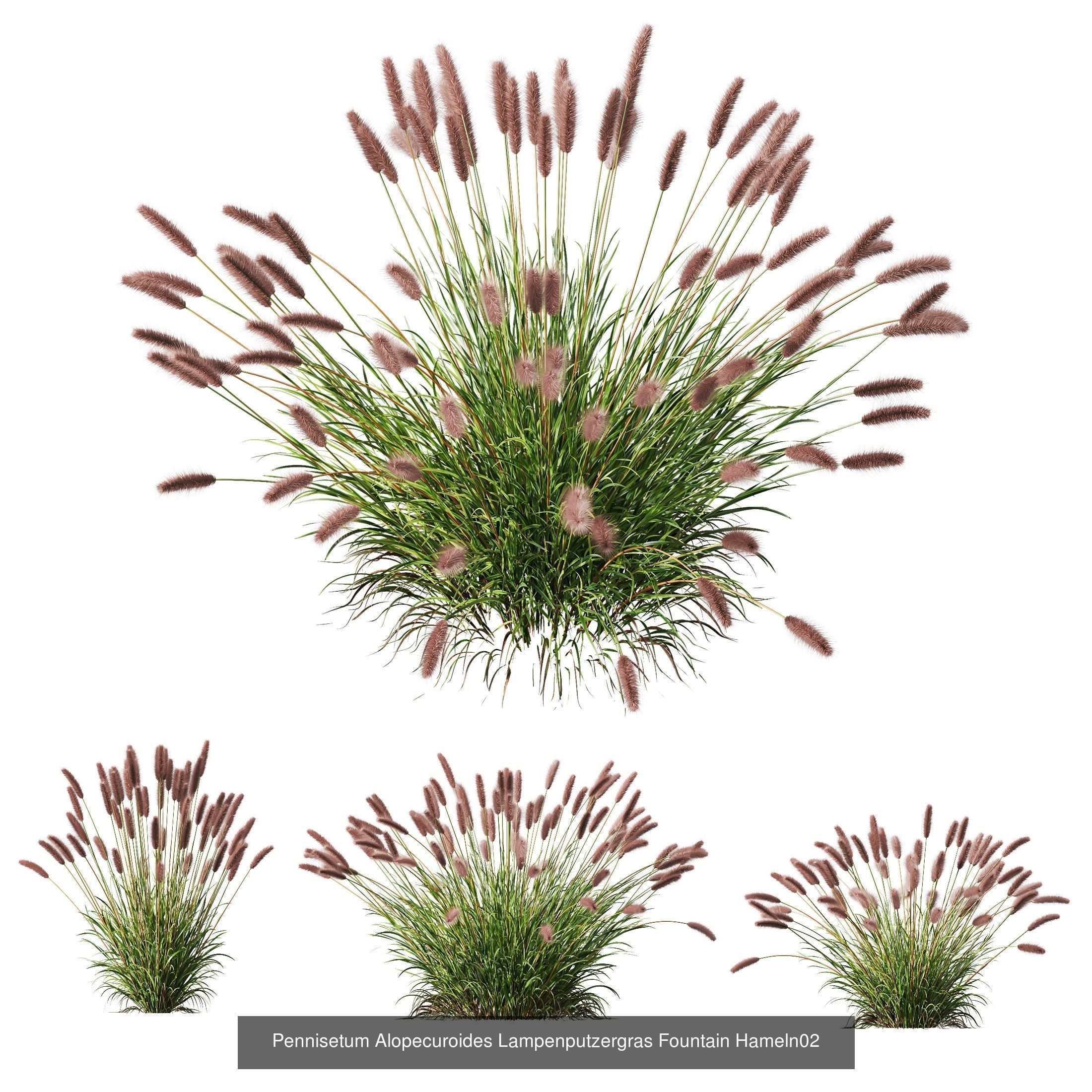 80 Different SETS Of Grass and Bush SET VOL08 3D Model Collection_136