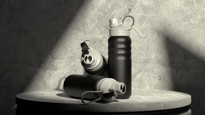 Sports Shaker 3D model