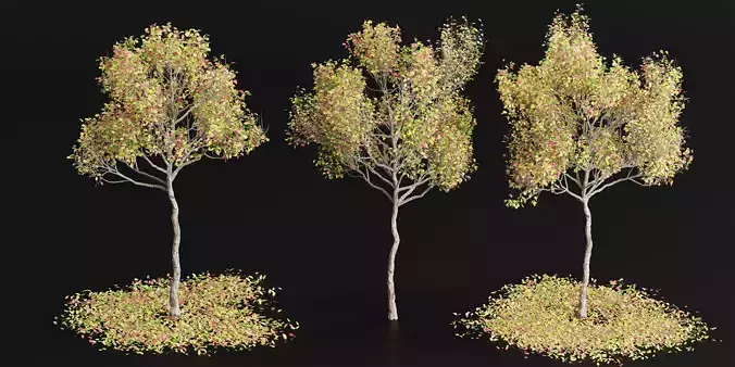 Autumn trees collection vol 32-Blender 3D model