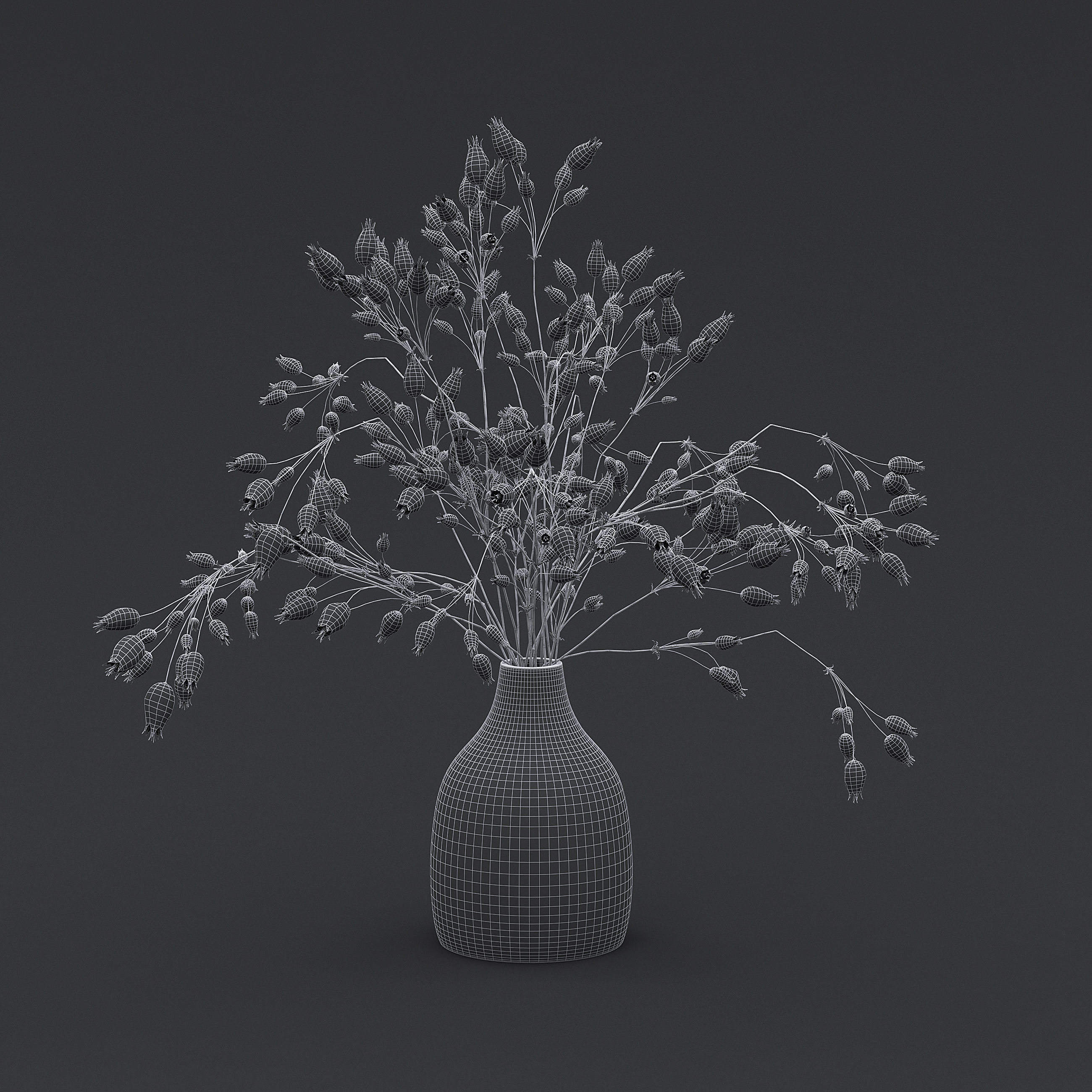 Dried Grass Flowers I 3D model_6