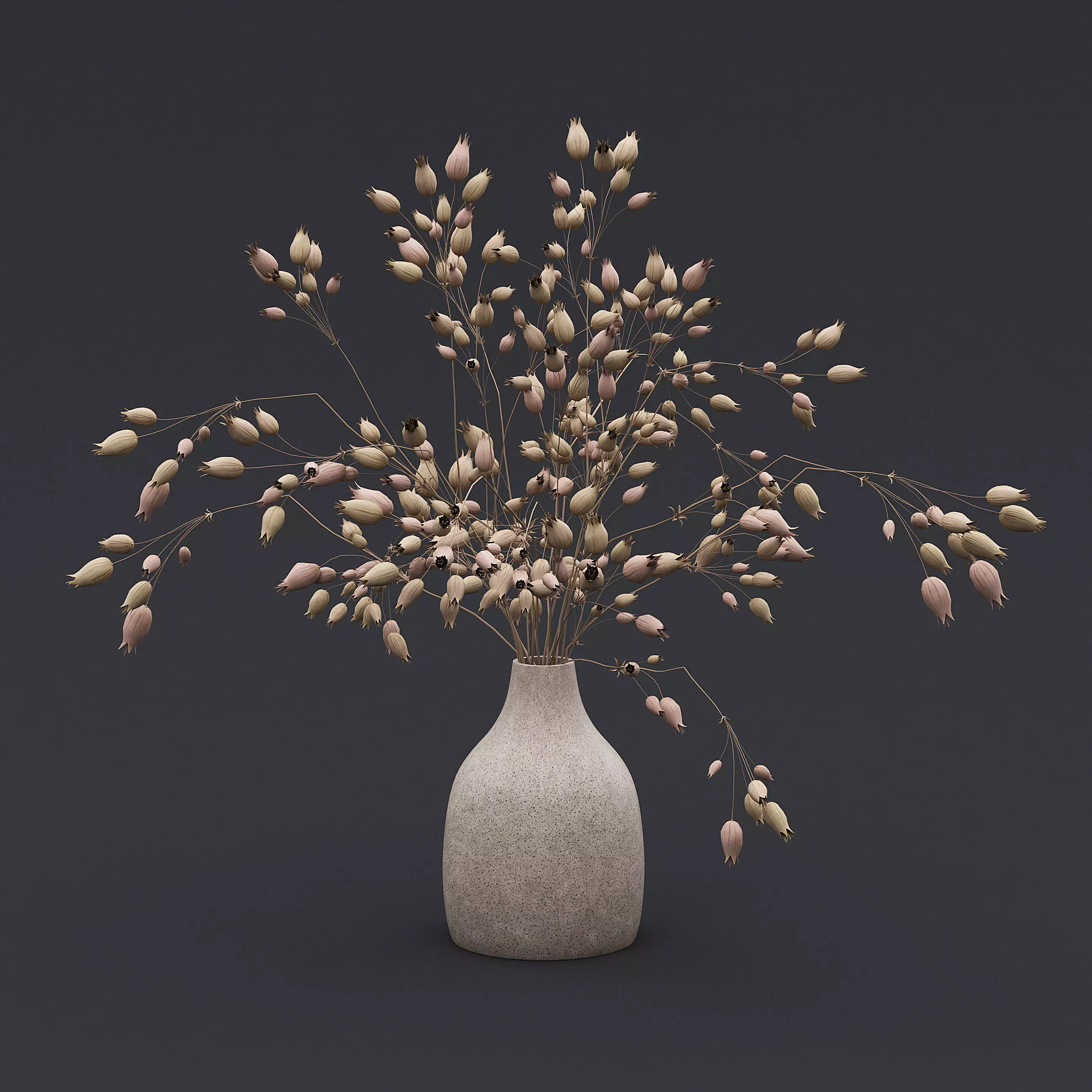 Dried Grass Flowers I 3D model_0