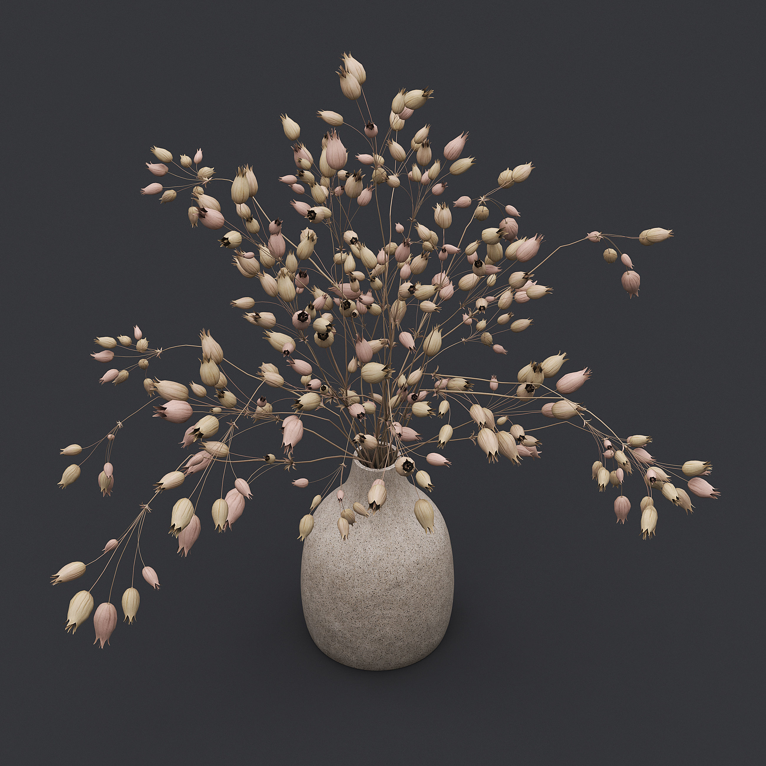 Dried Grass Flowers I 3D model_4