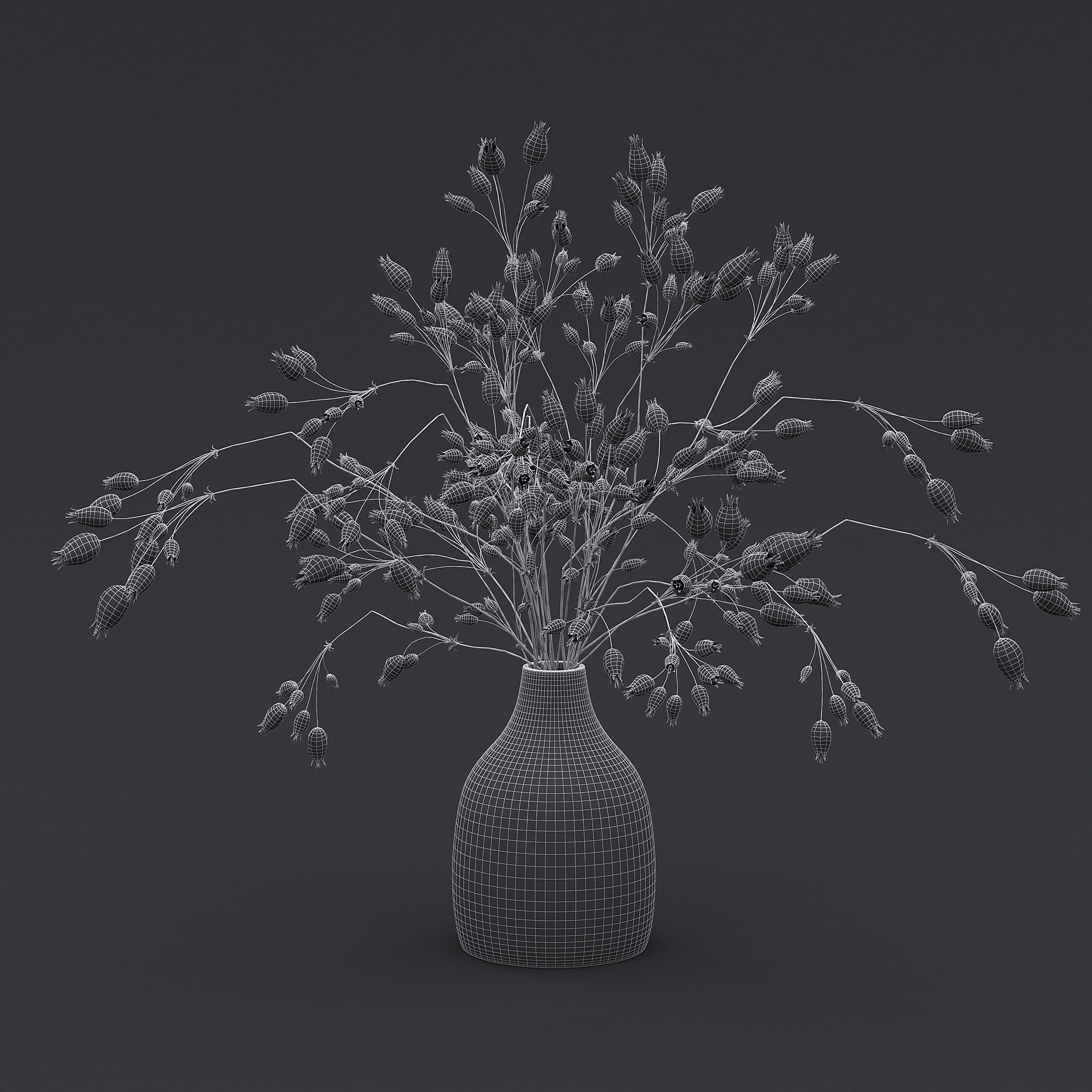 Dried Grass Flowers I 3D model_7