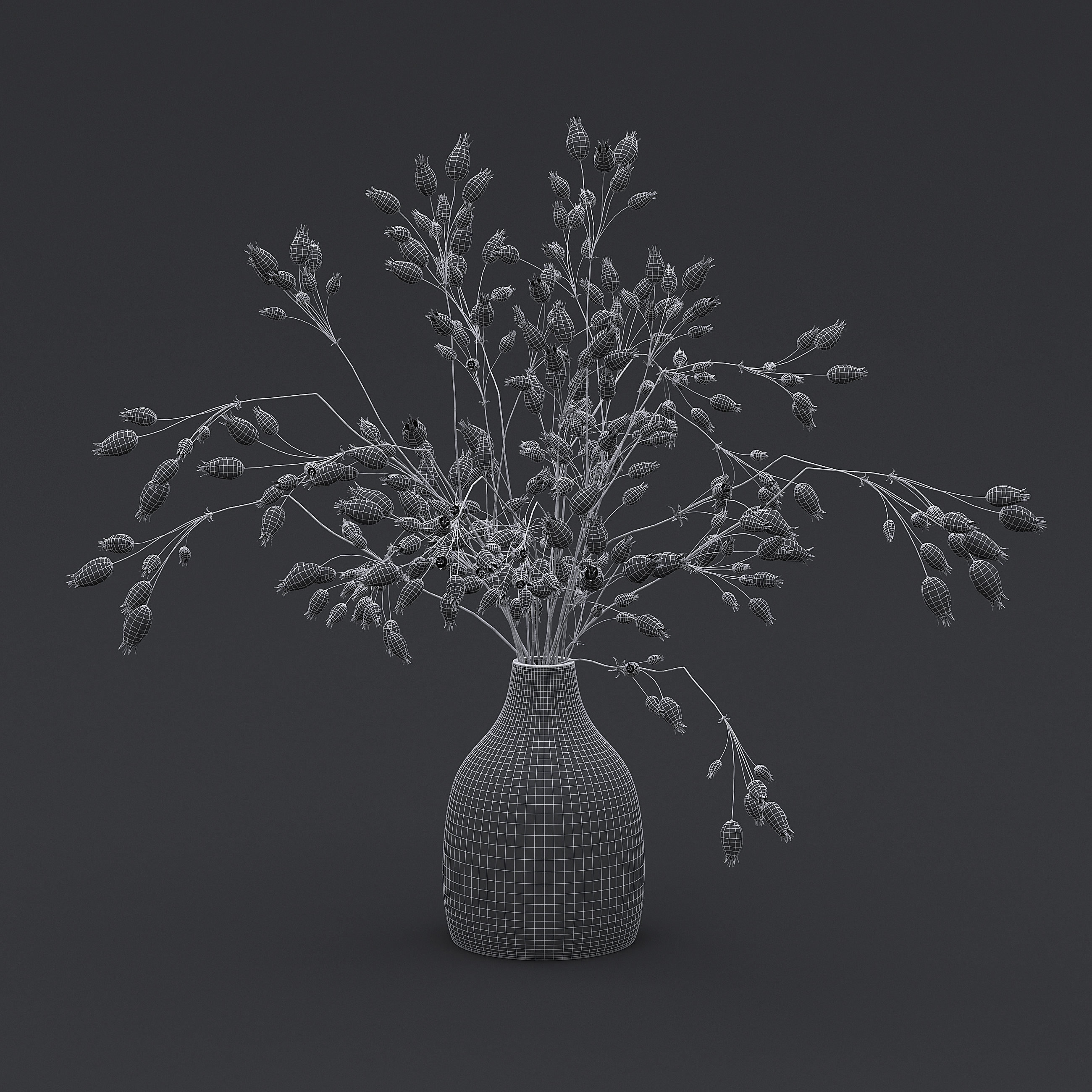 Dried Grass Flowers I 3D model_5