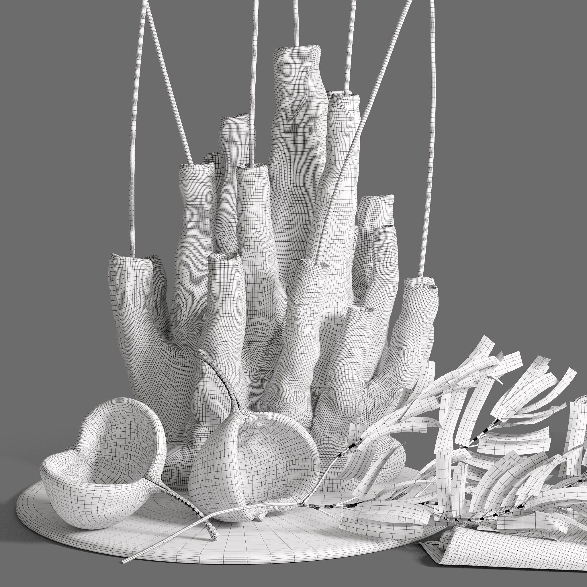 Decor Set 89 Coral vase branch plants Buddha nuts 3D model_5