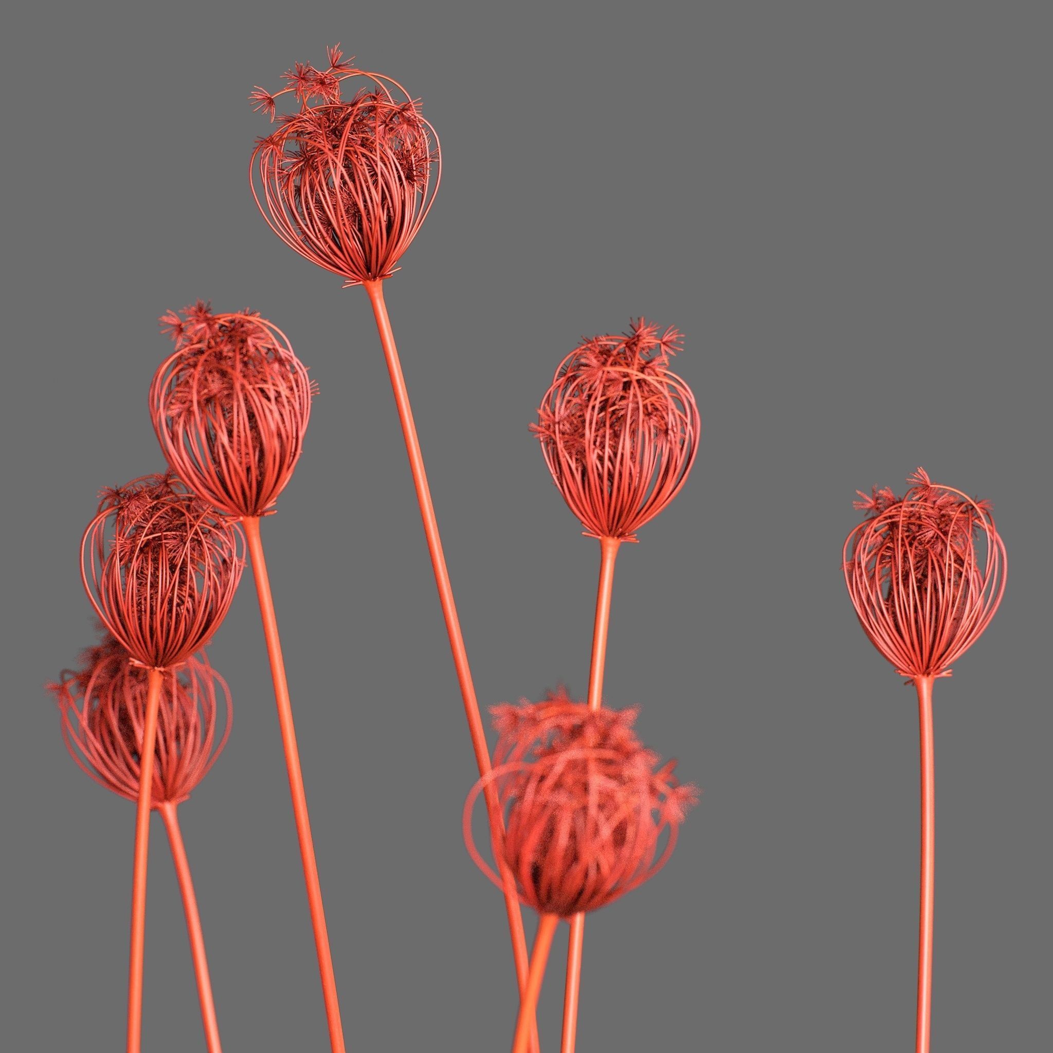 Decor Set 89 Coral vase branch plants Buddha nuts 3D model_2