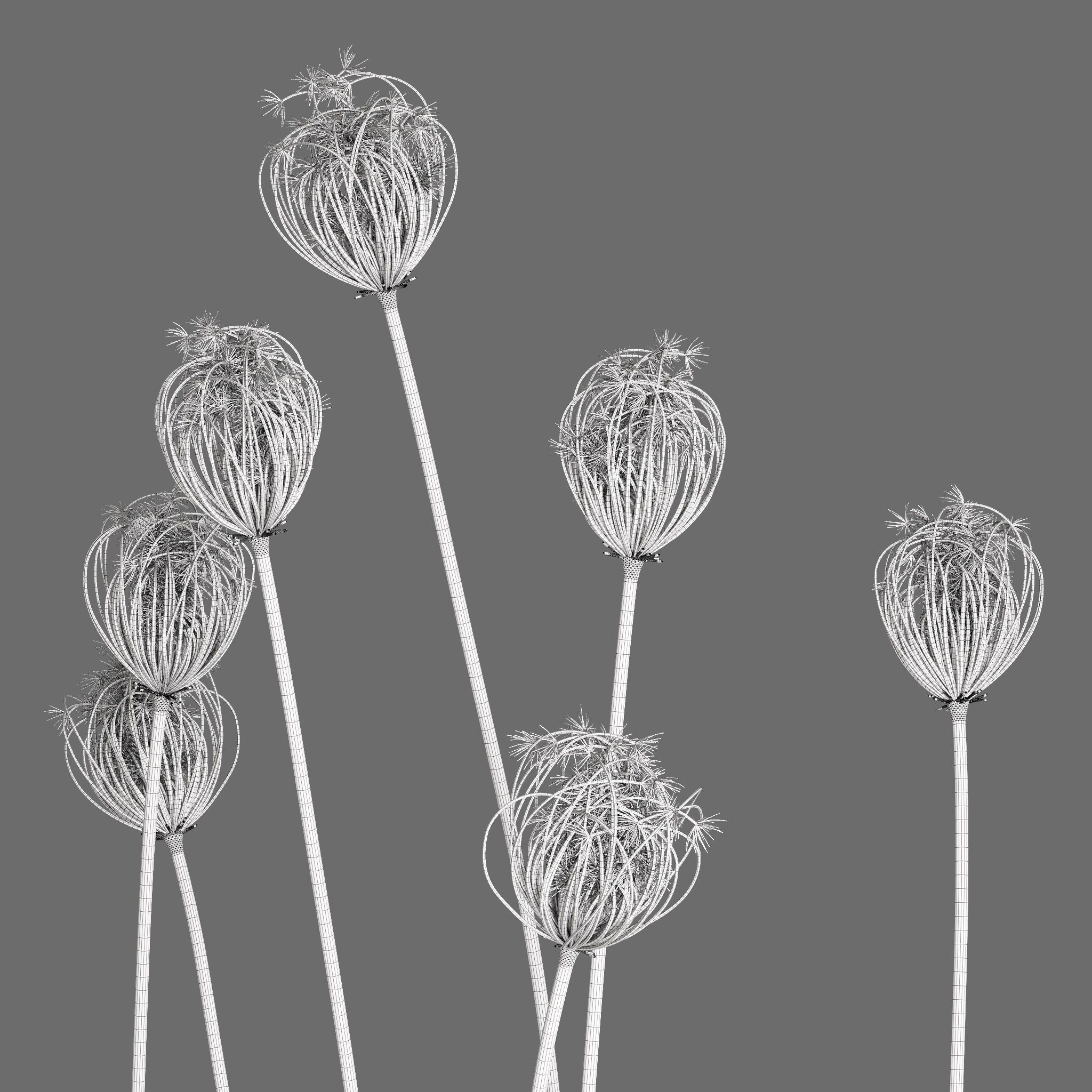 Decor Set 89 Coral vase branch plants Buddha nuts 3D model_3