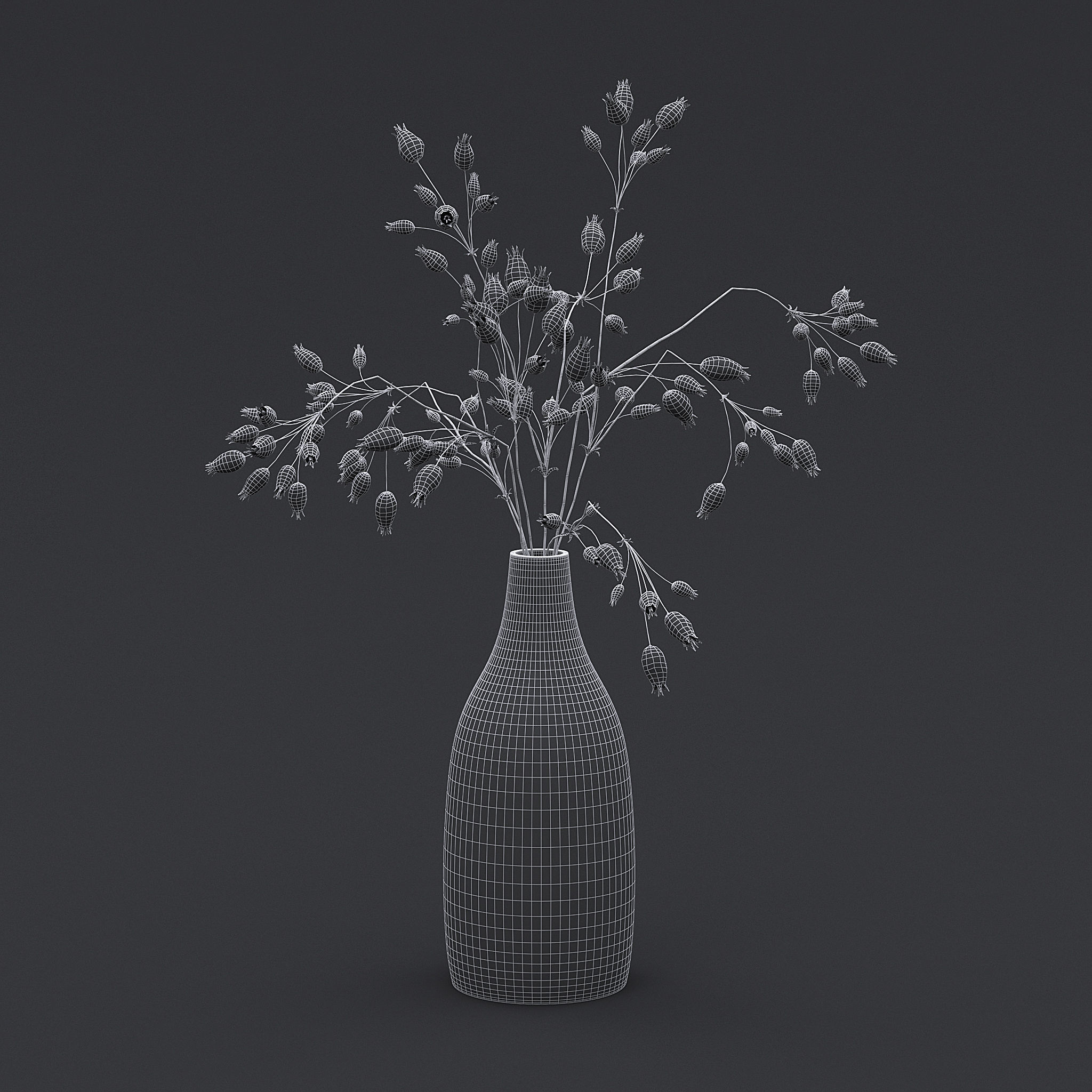 3D Dried Grass Flowers II 3D model_6