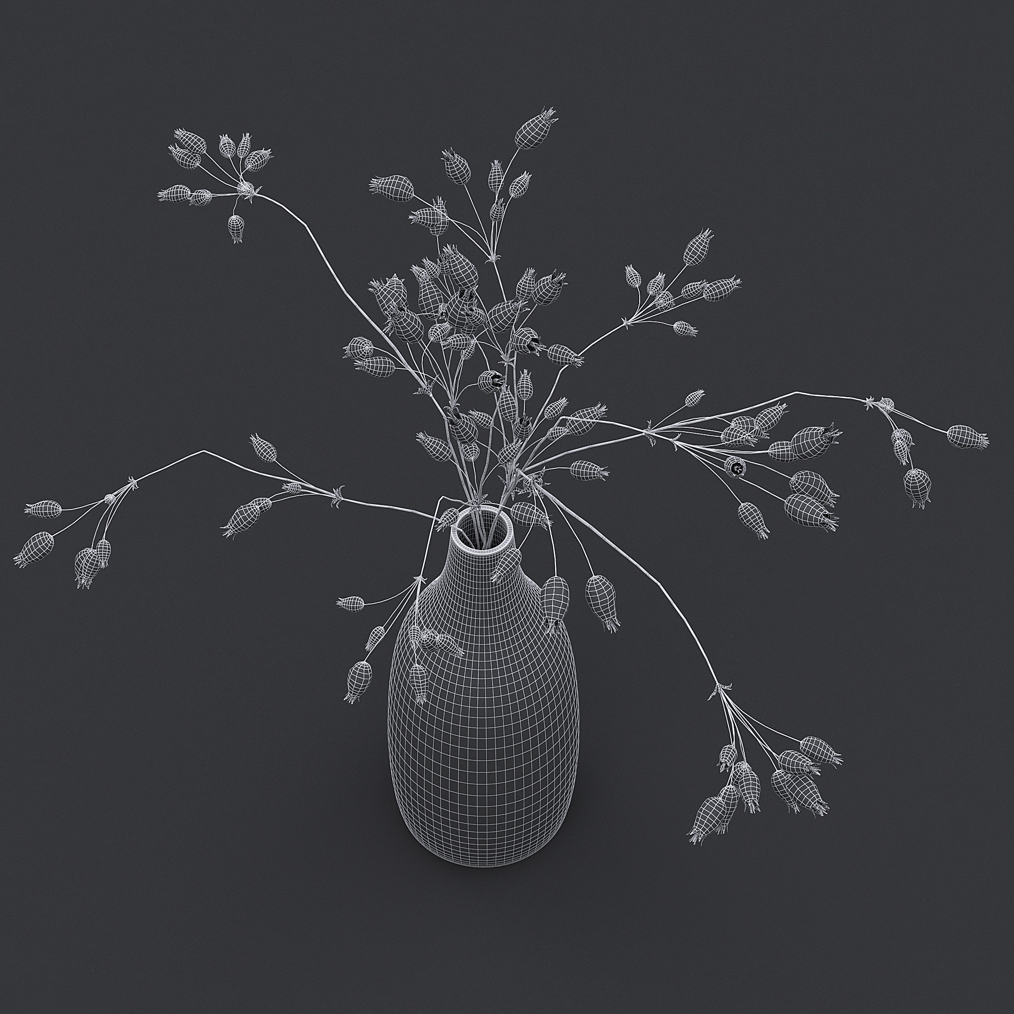 3D Dried Grass Flowers II 3D model_8