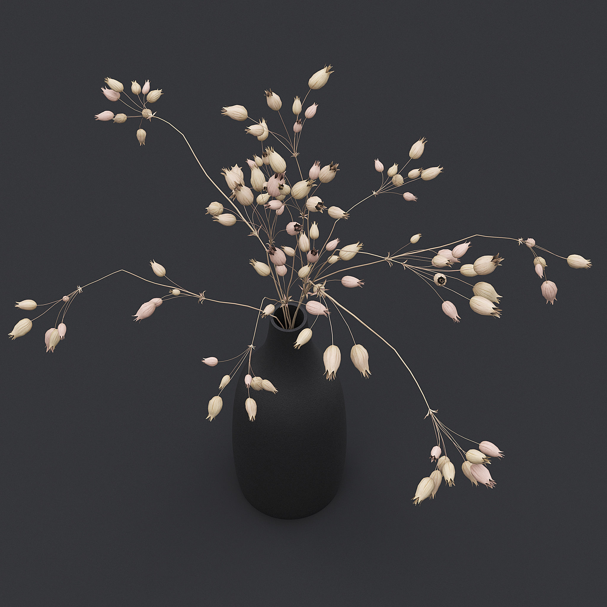 3D Dried Grass Flowers II 3D model_3