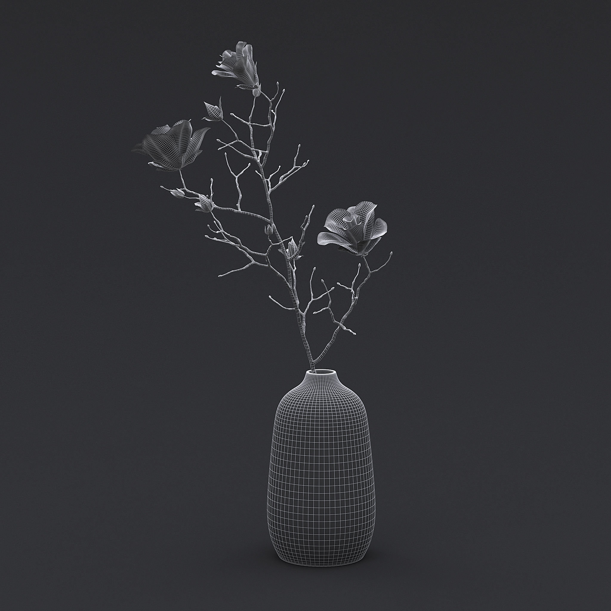 Dry Flowers In Vase I 3D model_5