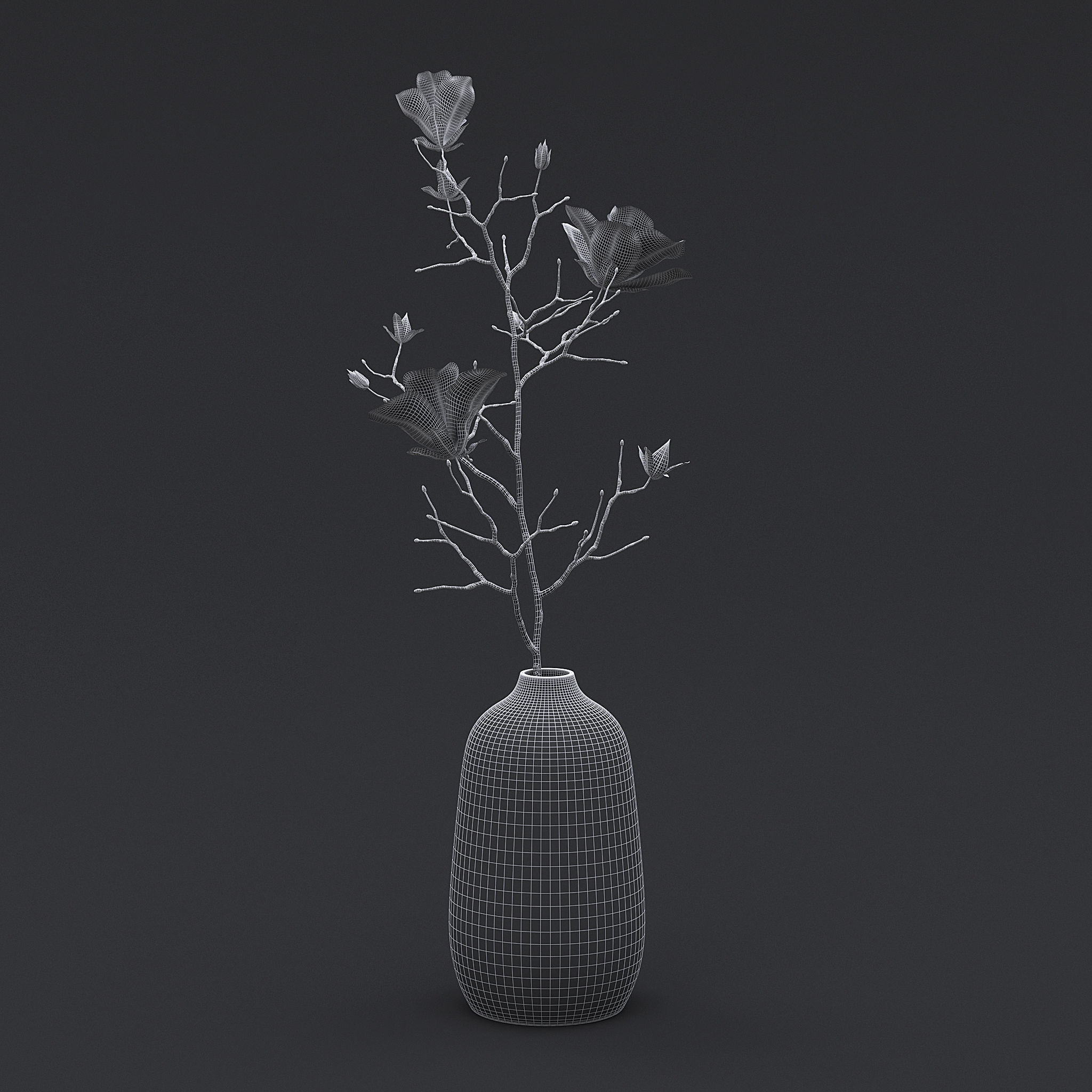 Dry Flowers In Vase I 3D model_6