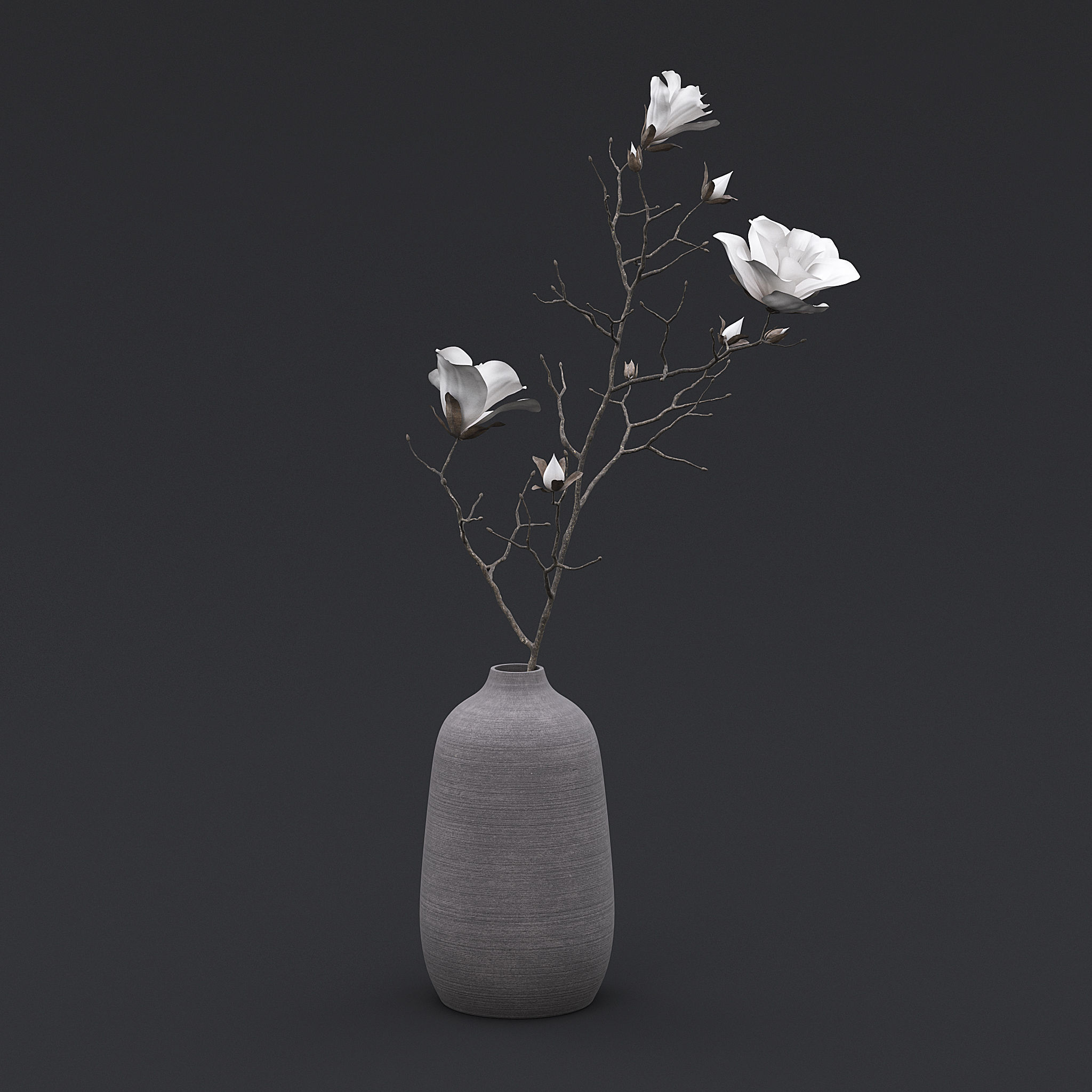 Dry Flowers In Vase I 3D model_2