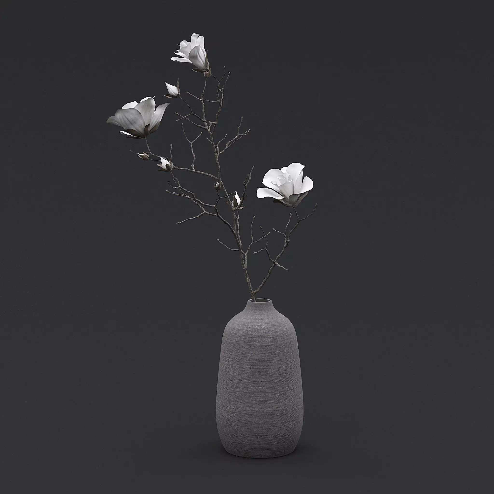 Dry Flowers In Vase I 3D model_0