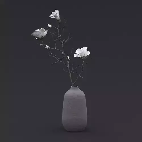 Dry Flowers In Vase I 3D model