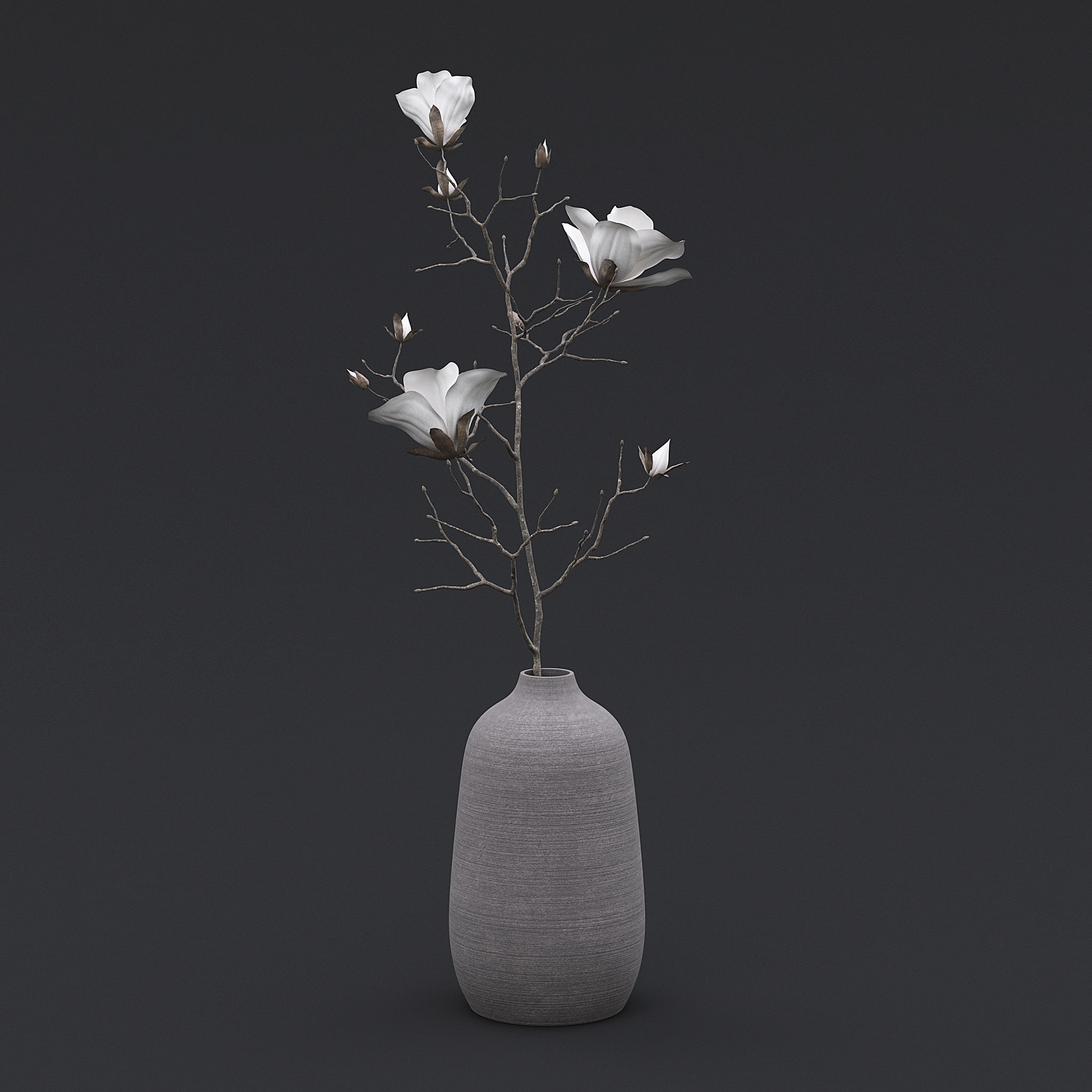 Dry Flowers In Vase I 3D model_1