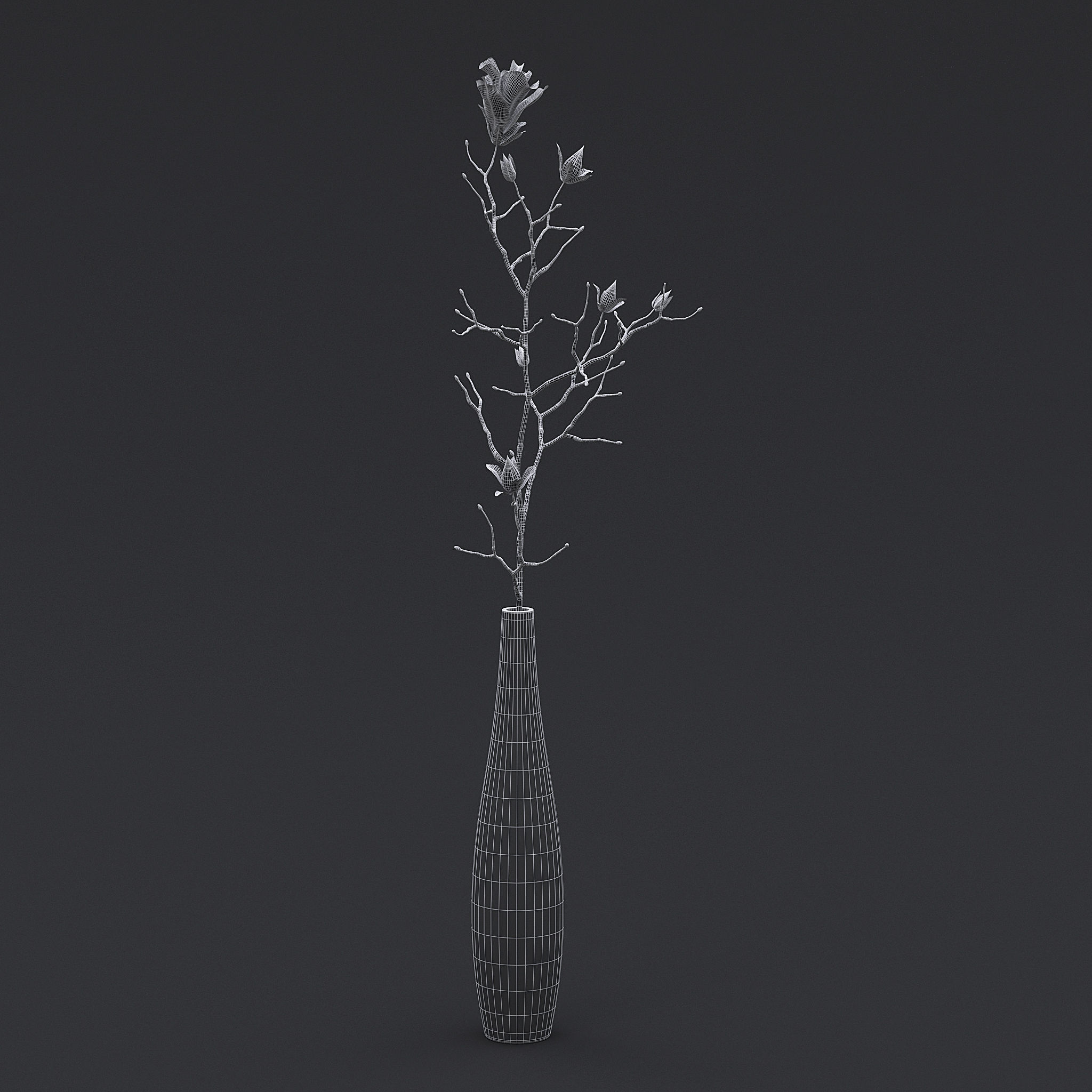 Dry Flowers In Vase II 3D model_6