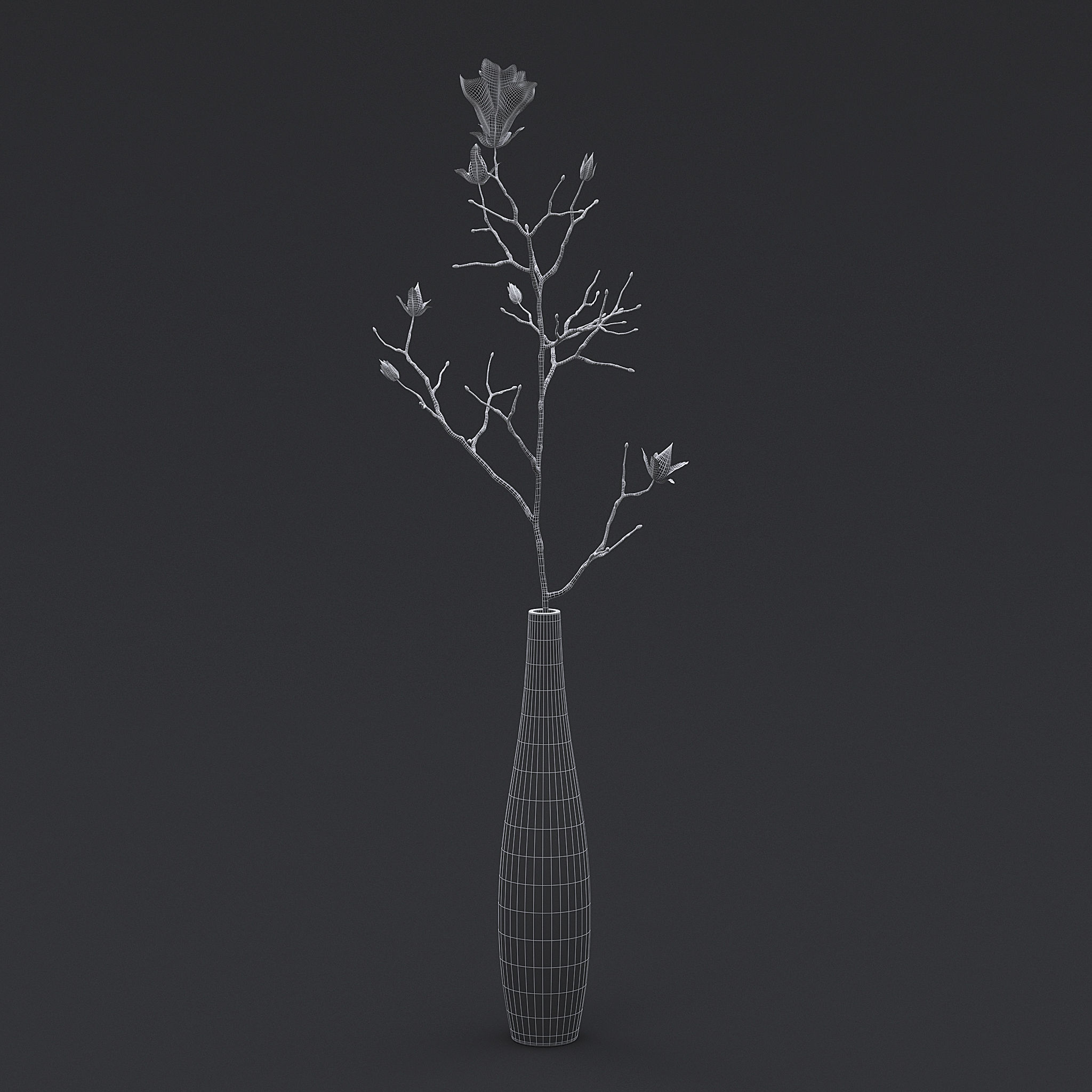 Dry Flowers In Vase II 3D model_5