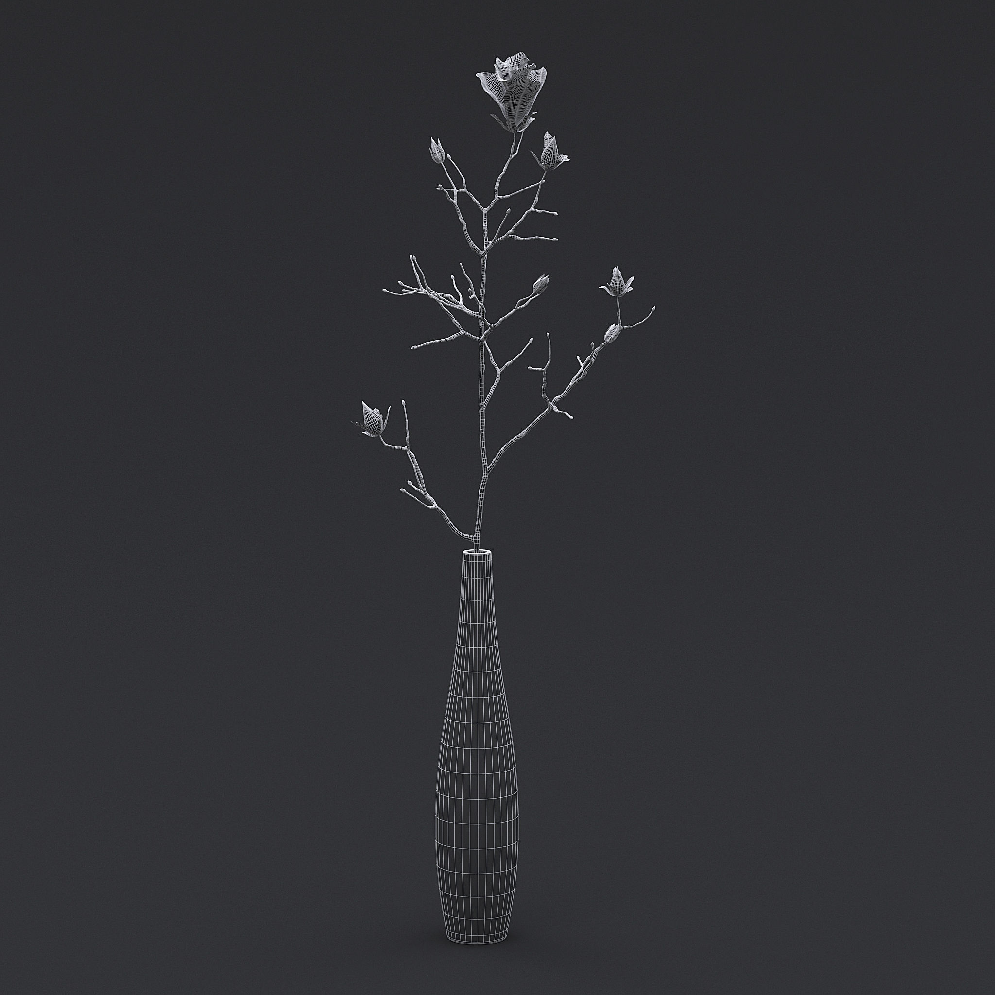 Dry Flowers In Vase II 3D model_7