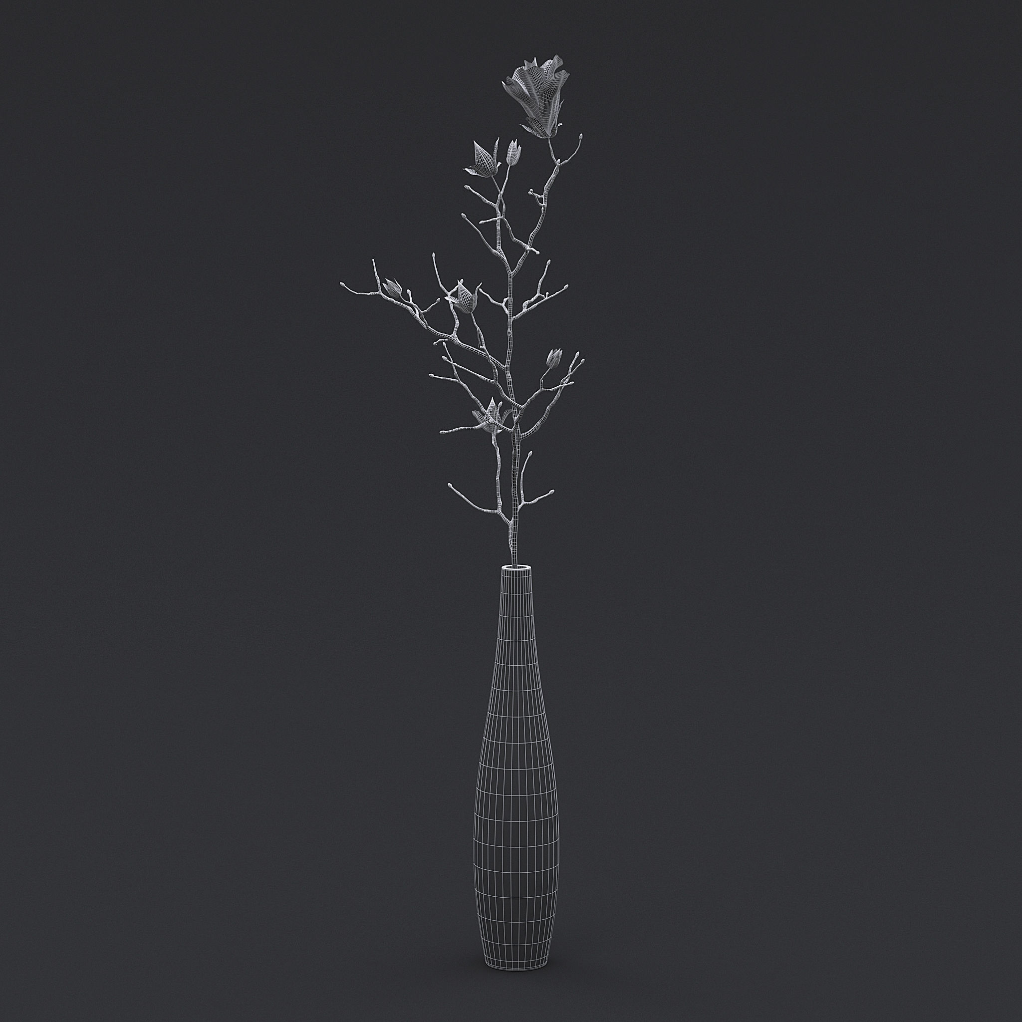 Dry Flowers In Vase II 3D model_8