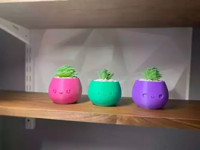 Not Kawaii Pots 1-year commercial licence 3D print model