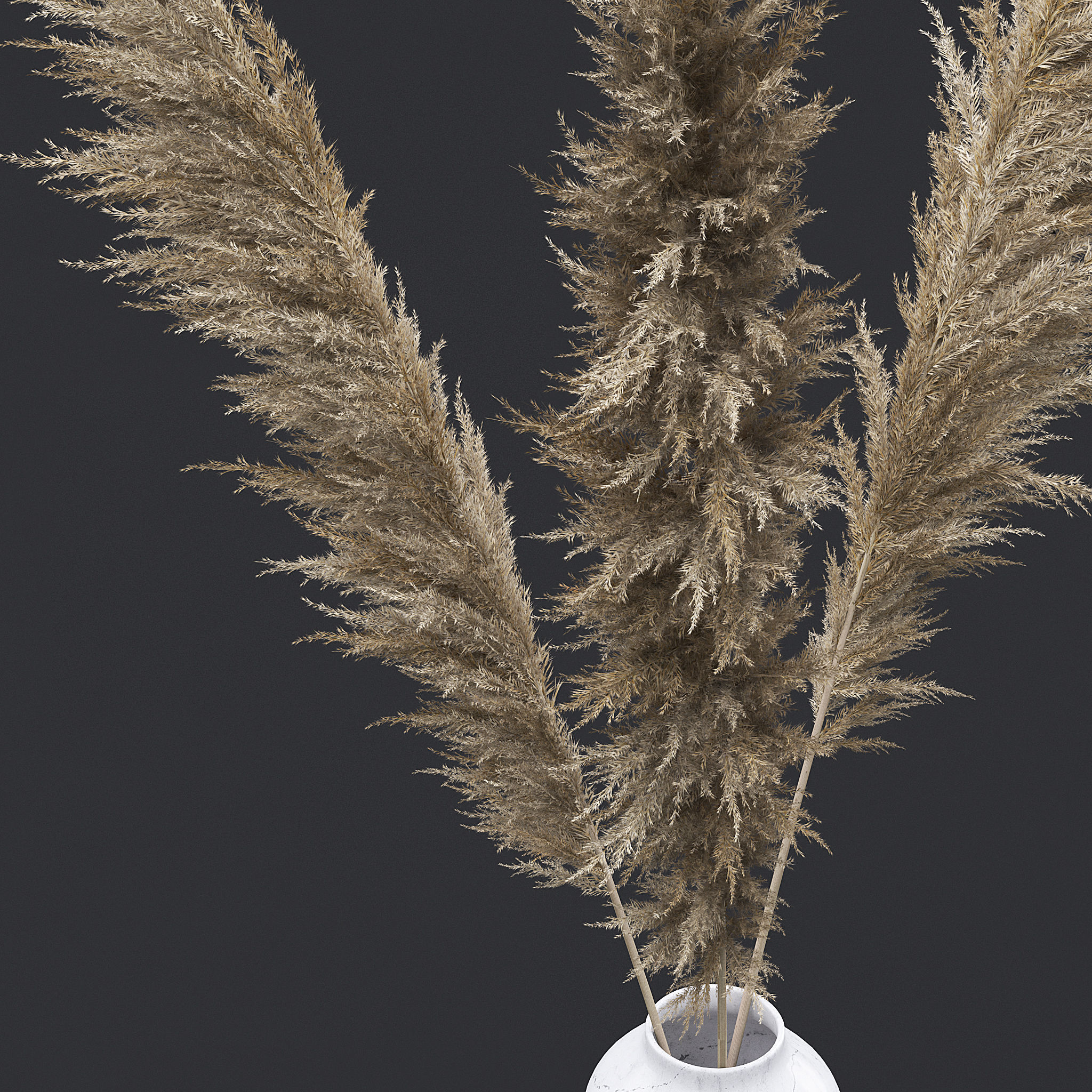 Pampas Grass I 3D model_4