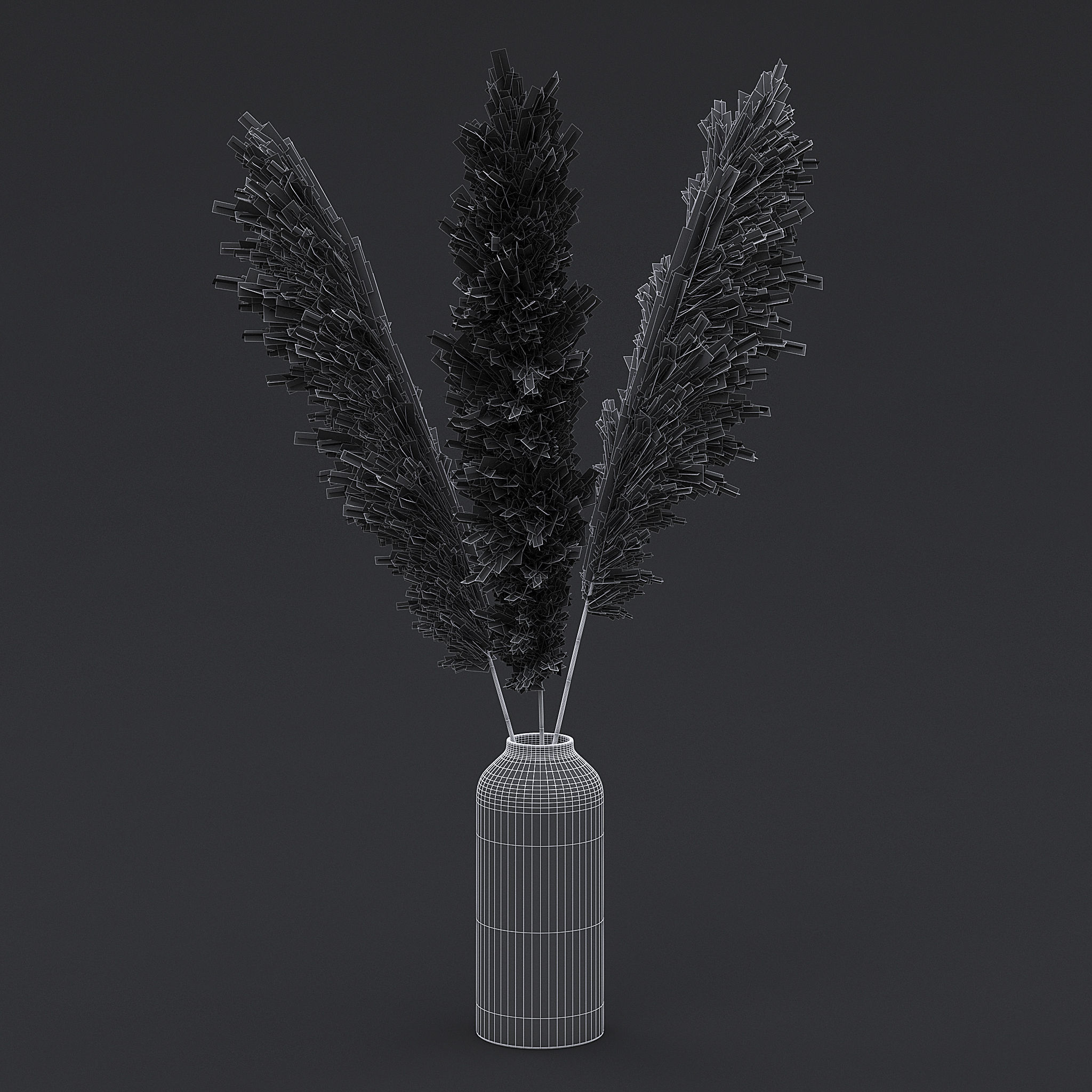 Pampas Grass I 3D model_5