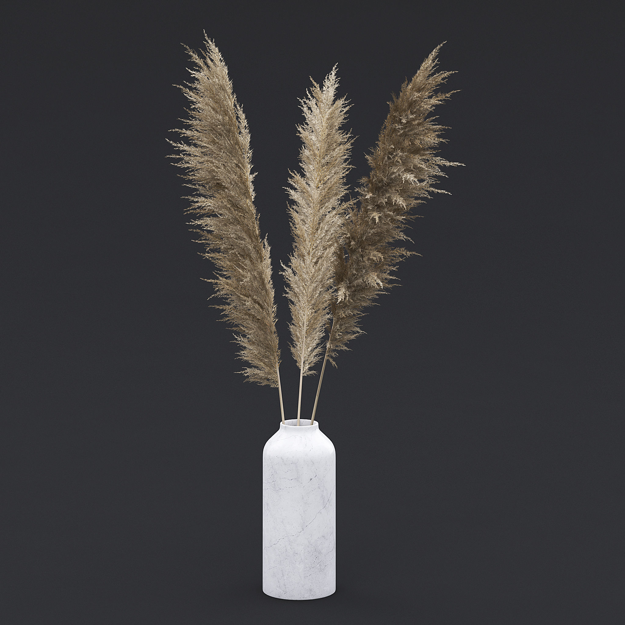 Pampas Grass I 3D model_1