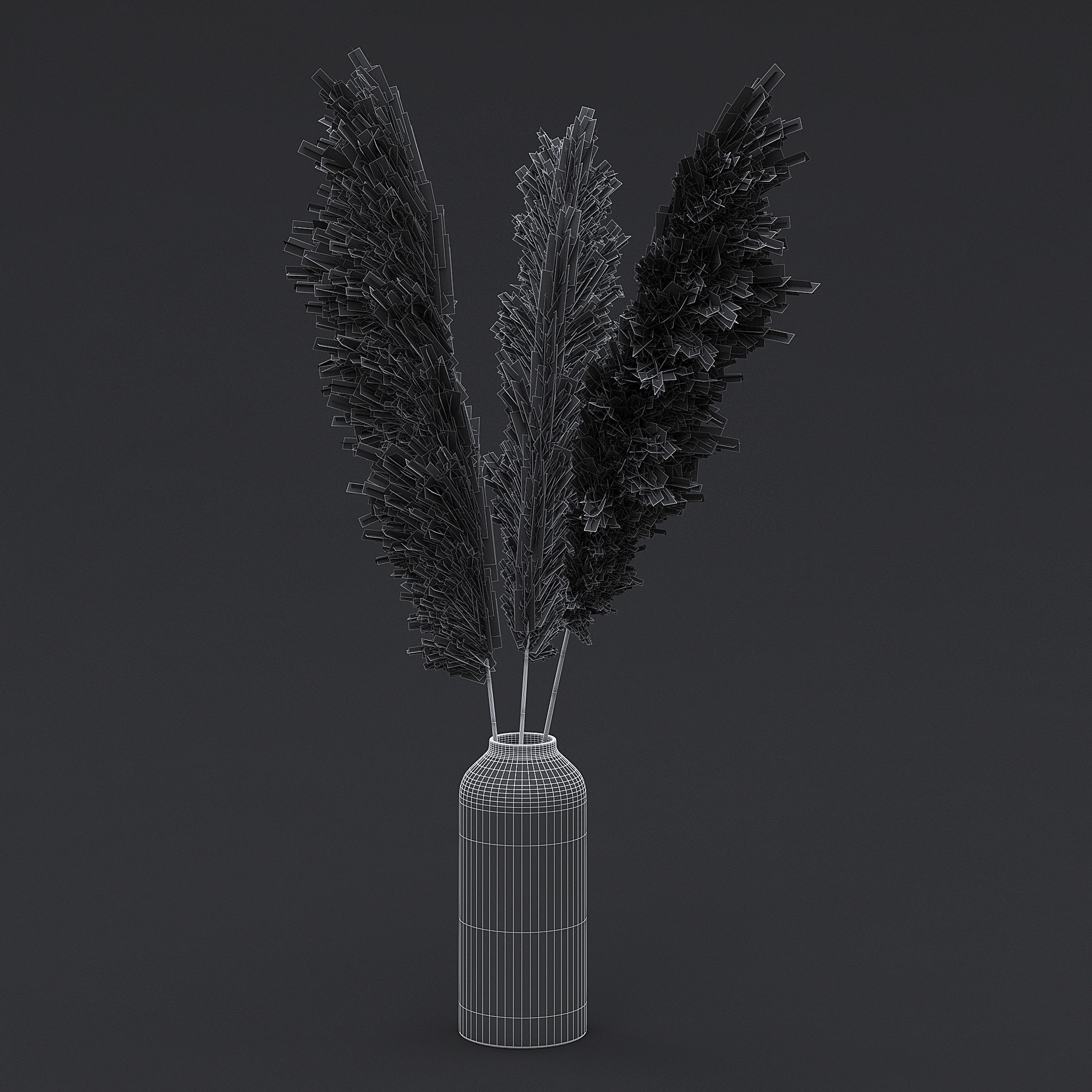 Pampas Grass I 3D model_6